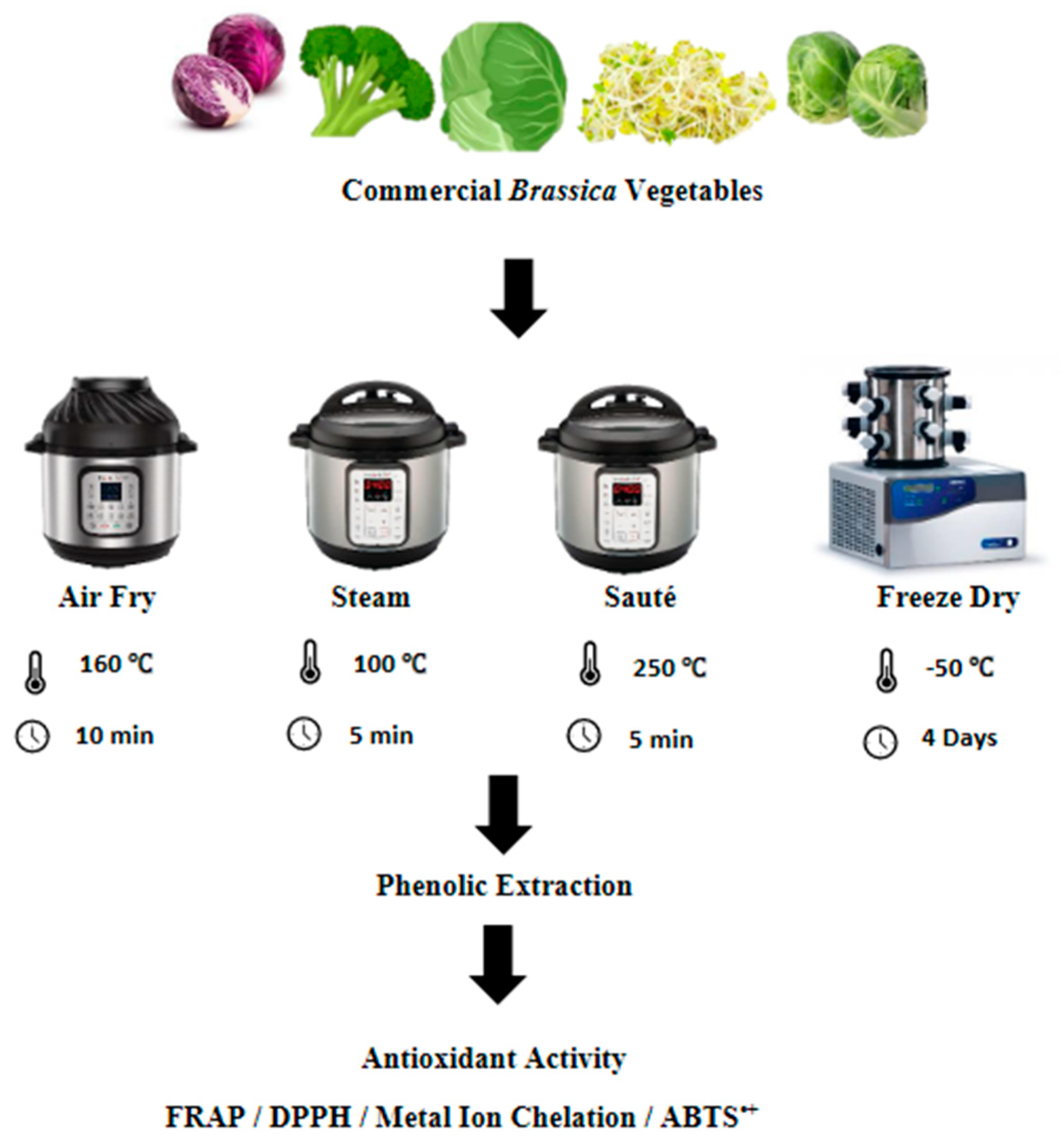 Antioxidants 12 00490 g001 Antioxidants 12 00490 g001