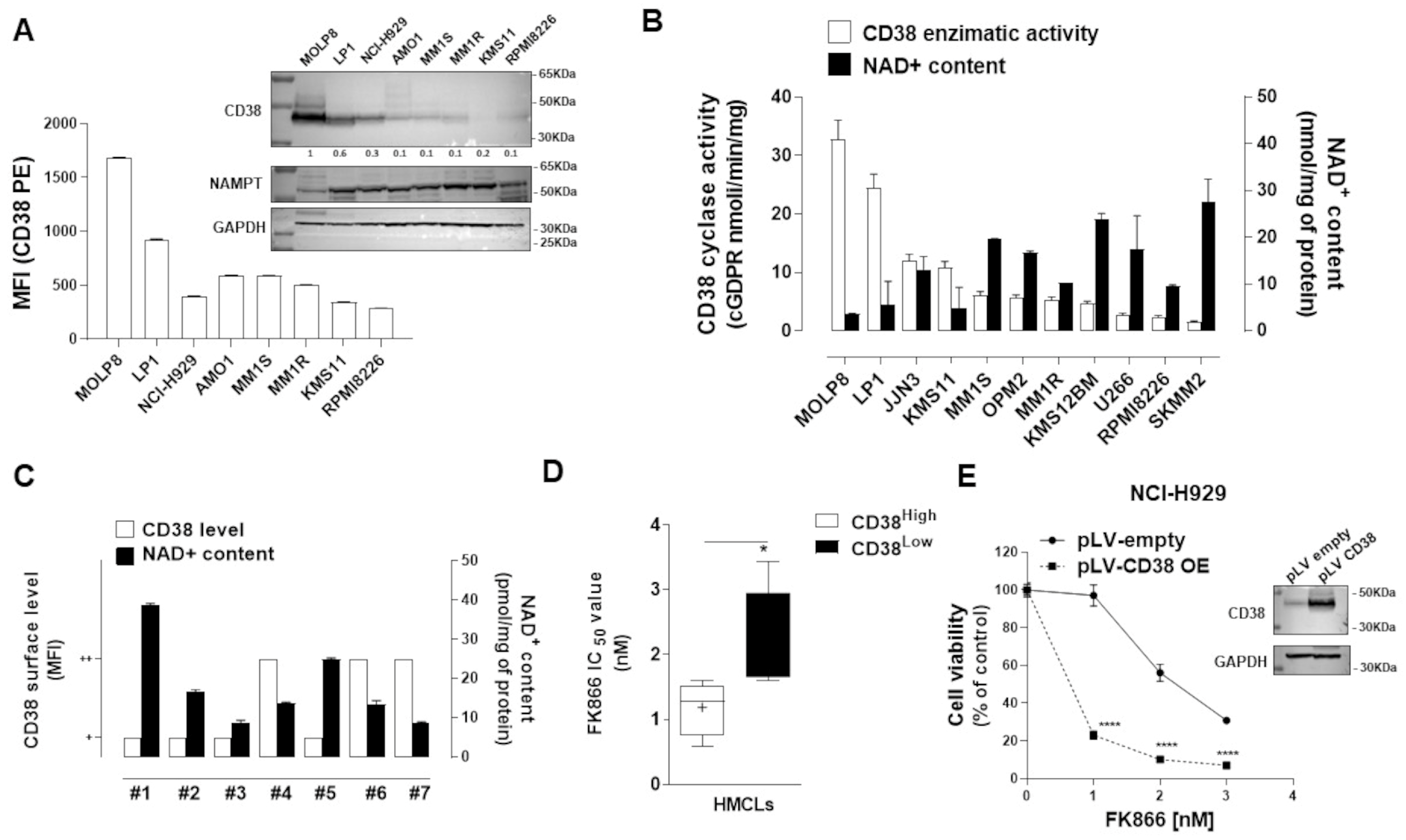 Antioxidants 12 00494 g001