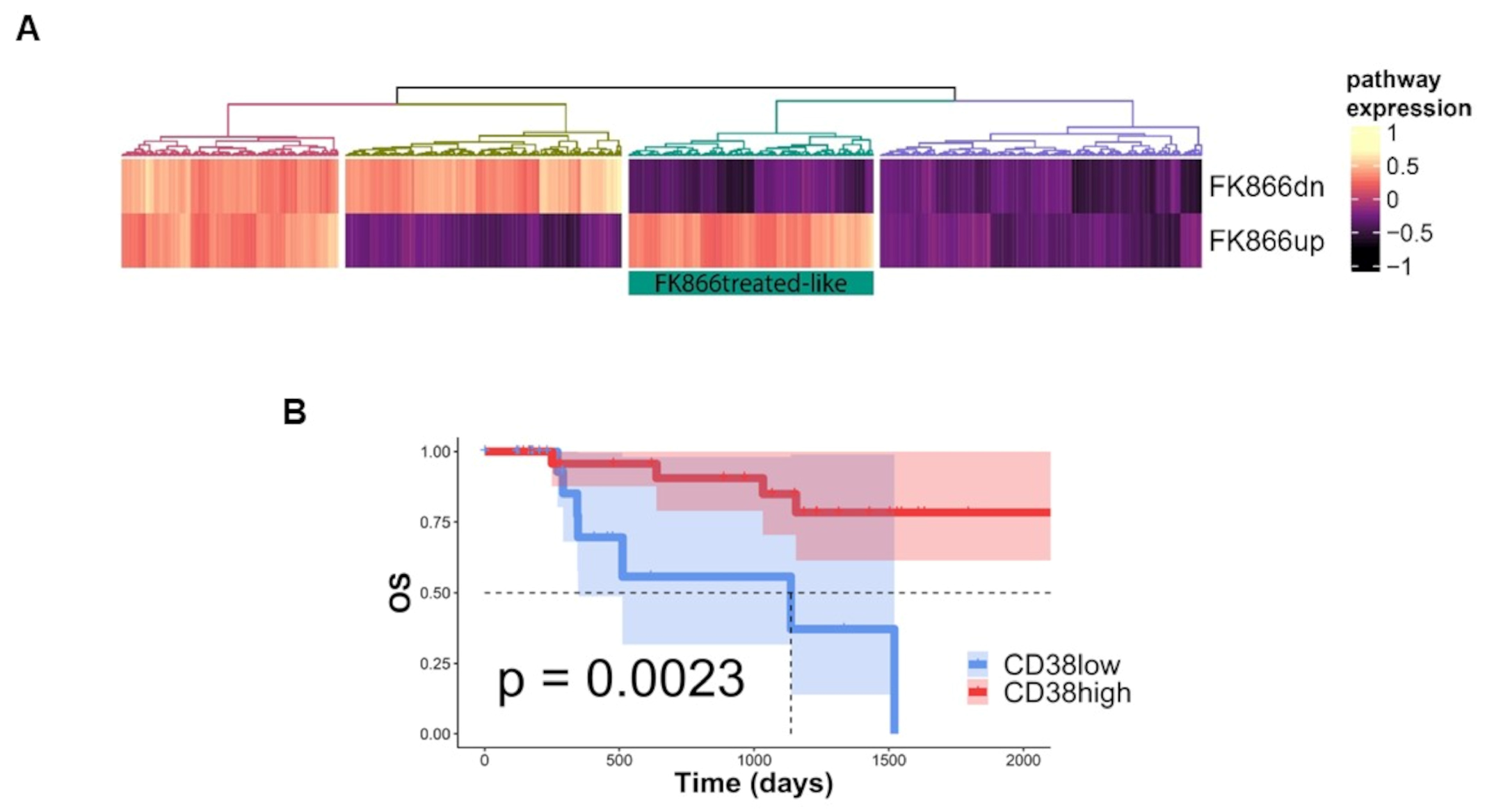 Antioxidants 12 00494 g003