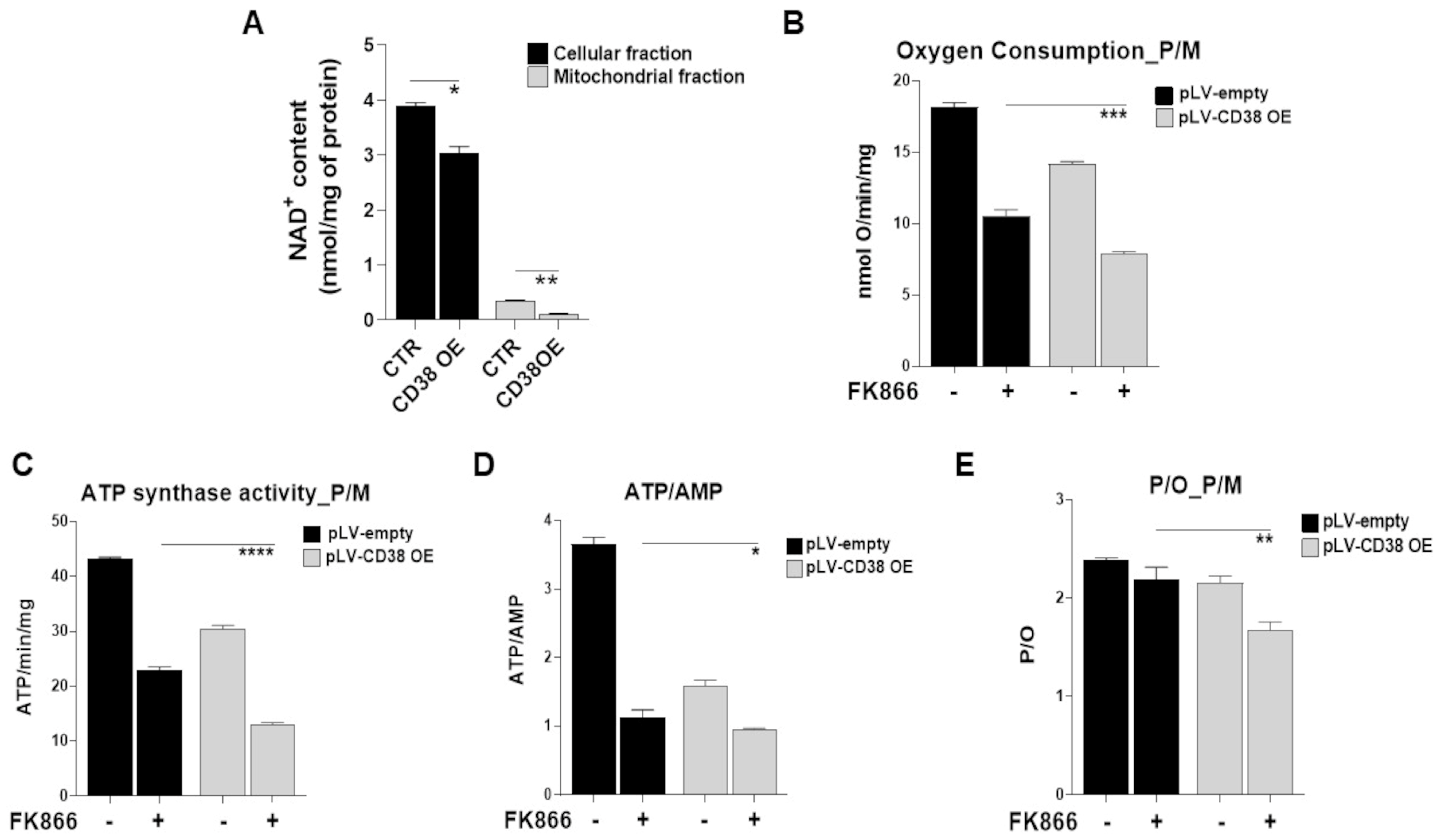 Antioxidants 12 00494 g006
