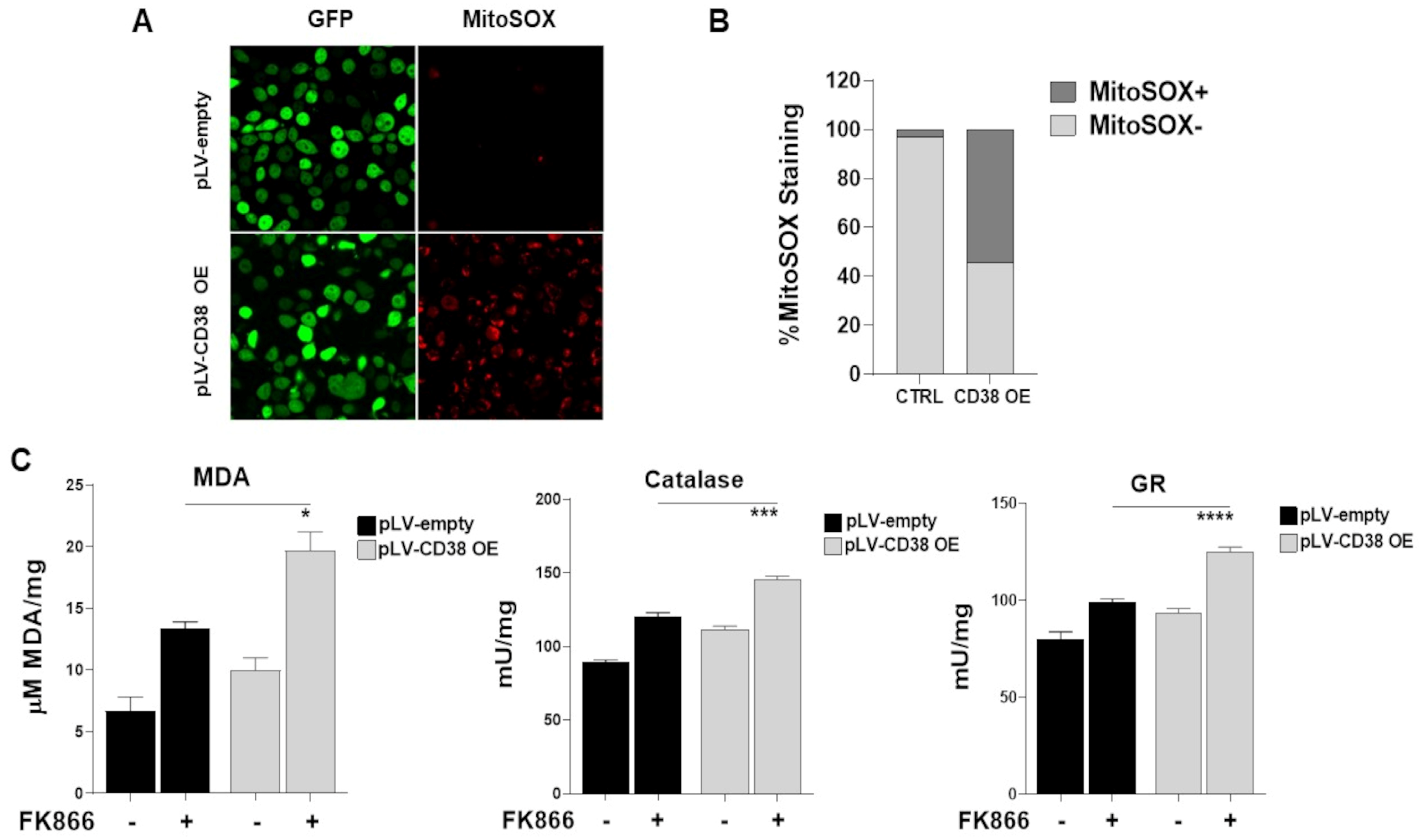 Antioxidants 12 00494 g008