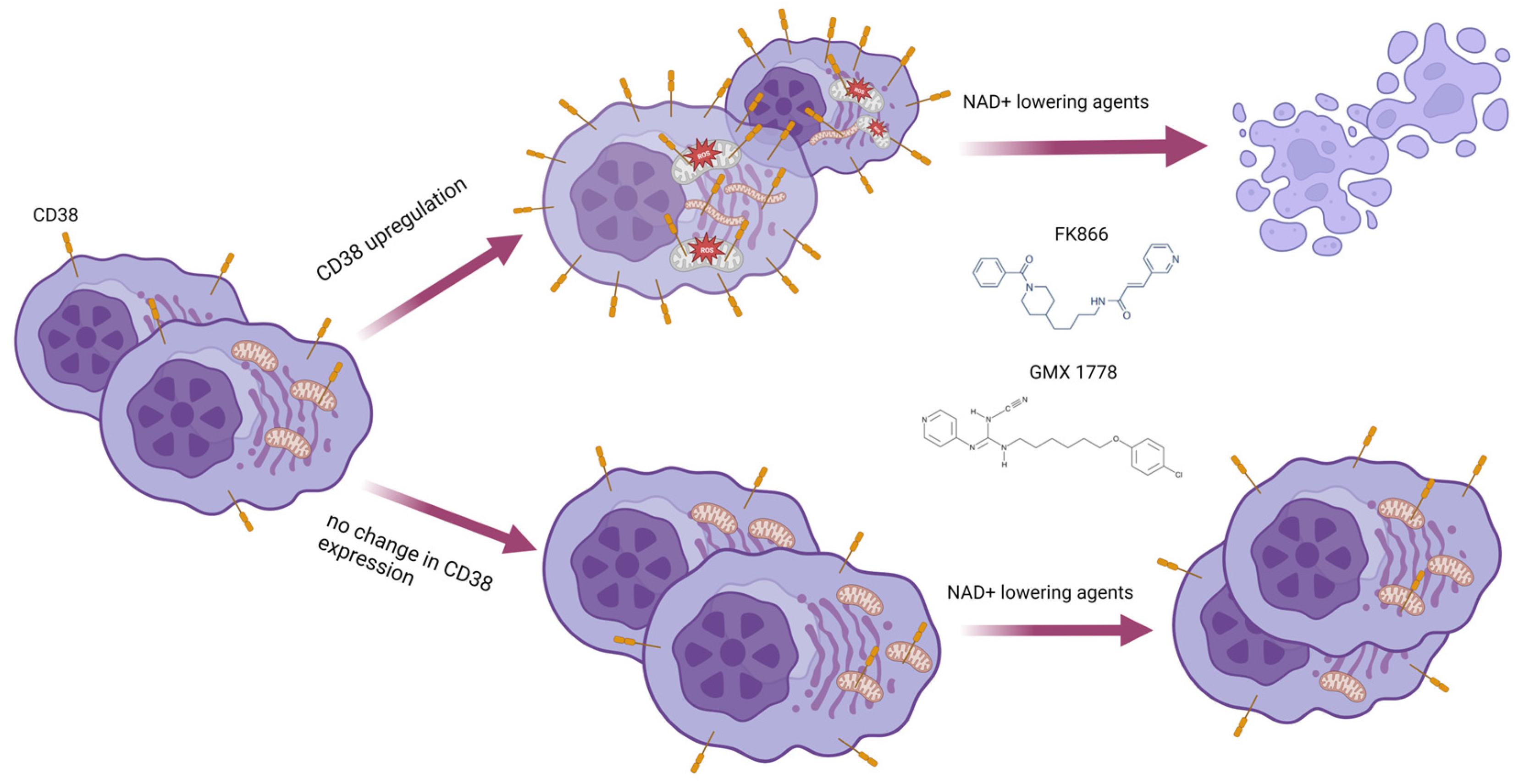 Antioxidants 12 00494 g010
