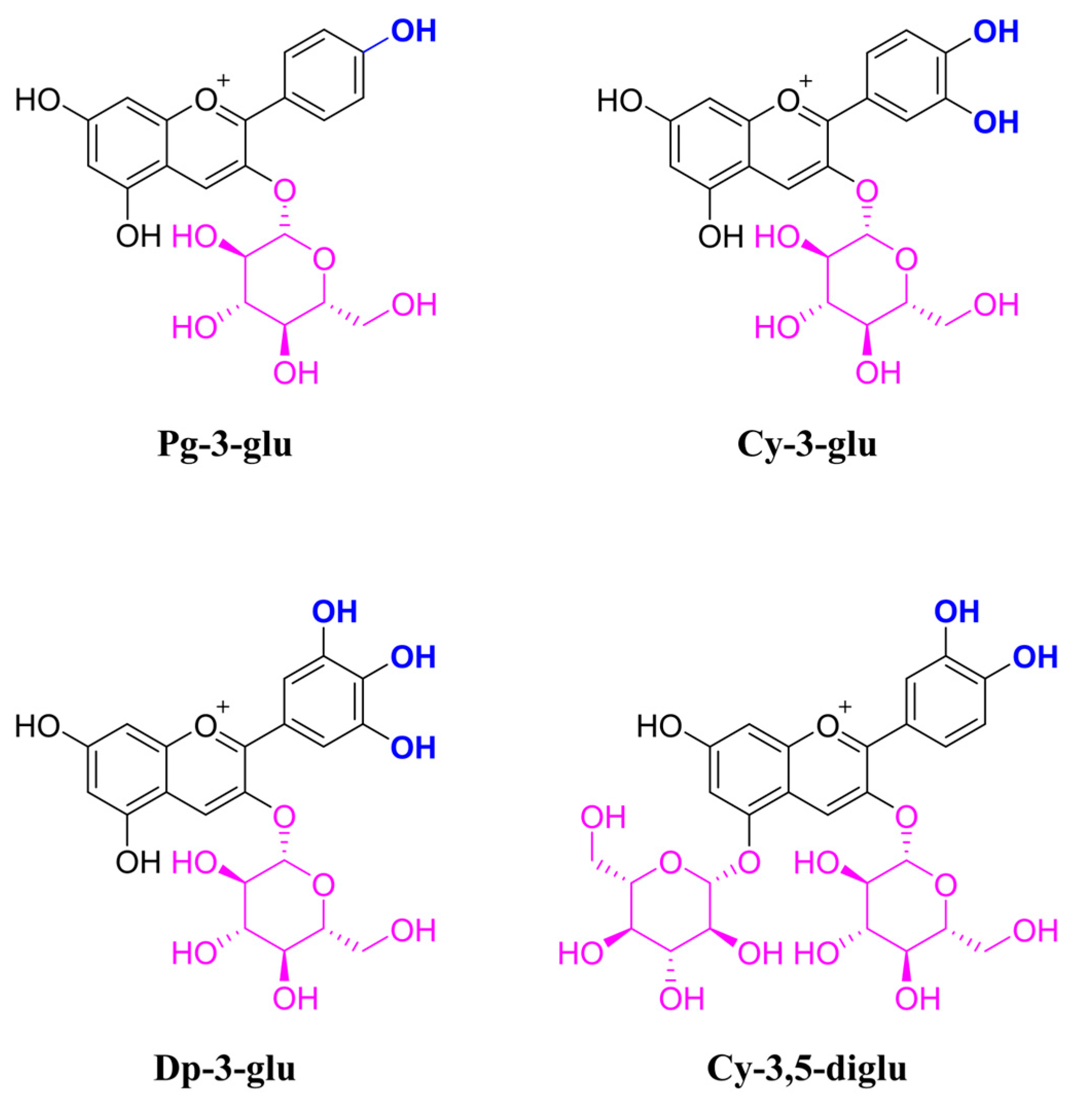 Antioxidants 12 00508 g001 Antioxidants 12 00508 g001