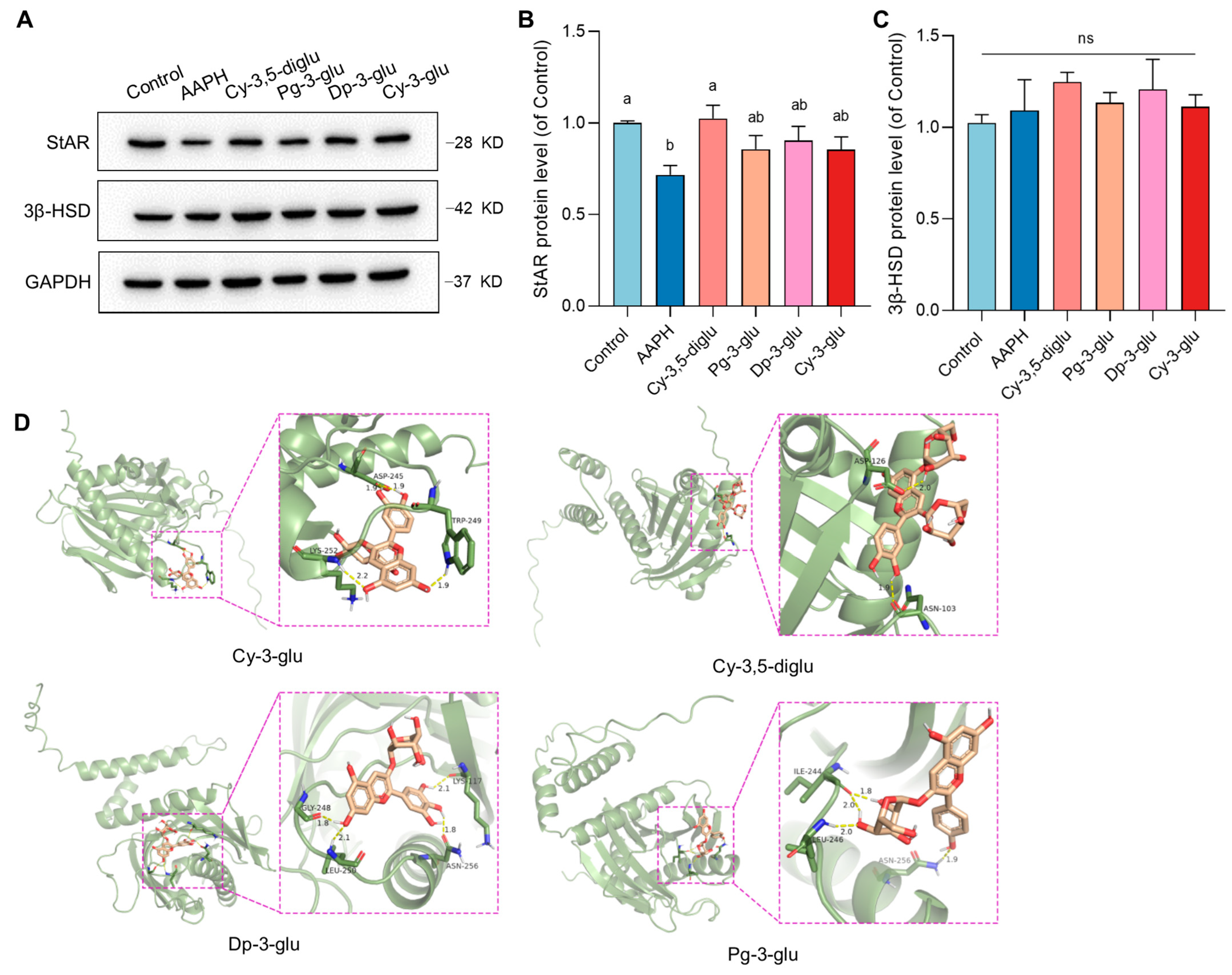 Antioxidants 12 00508 g006 Antioxidants 12 00508 g006