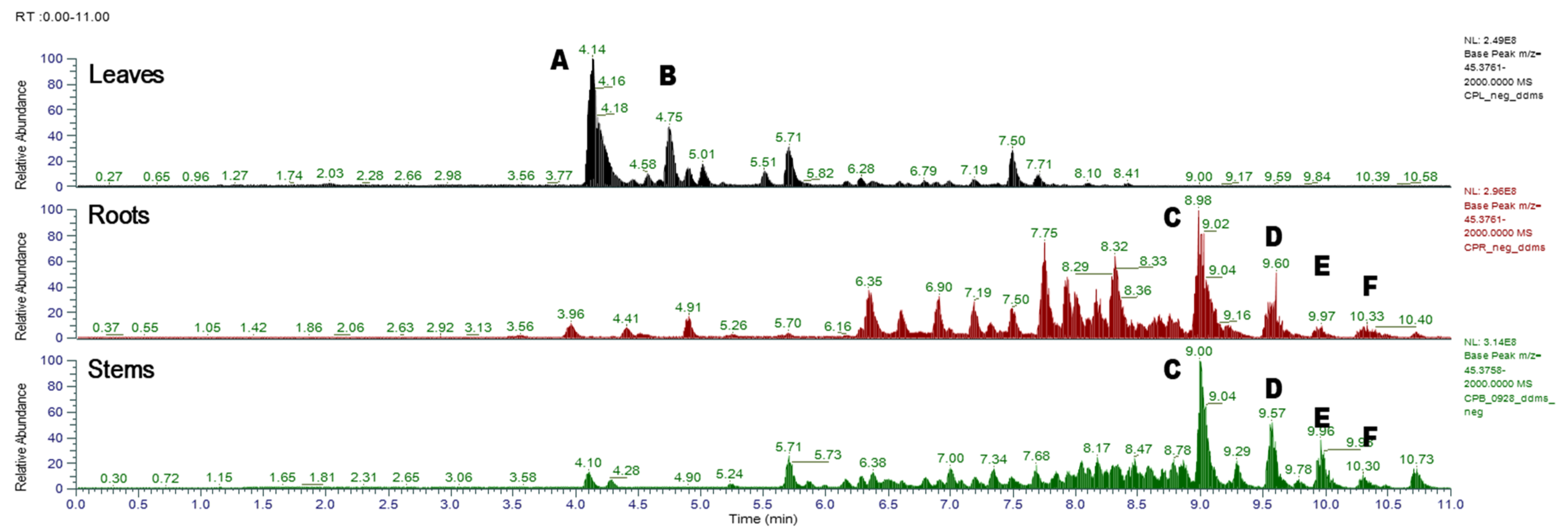 Antioxidants 12 00511 g001 Antioxidants 12 00511 g001