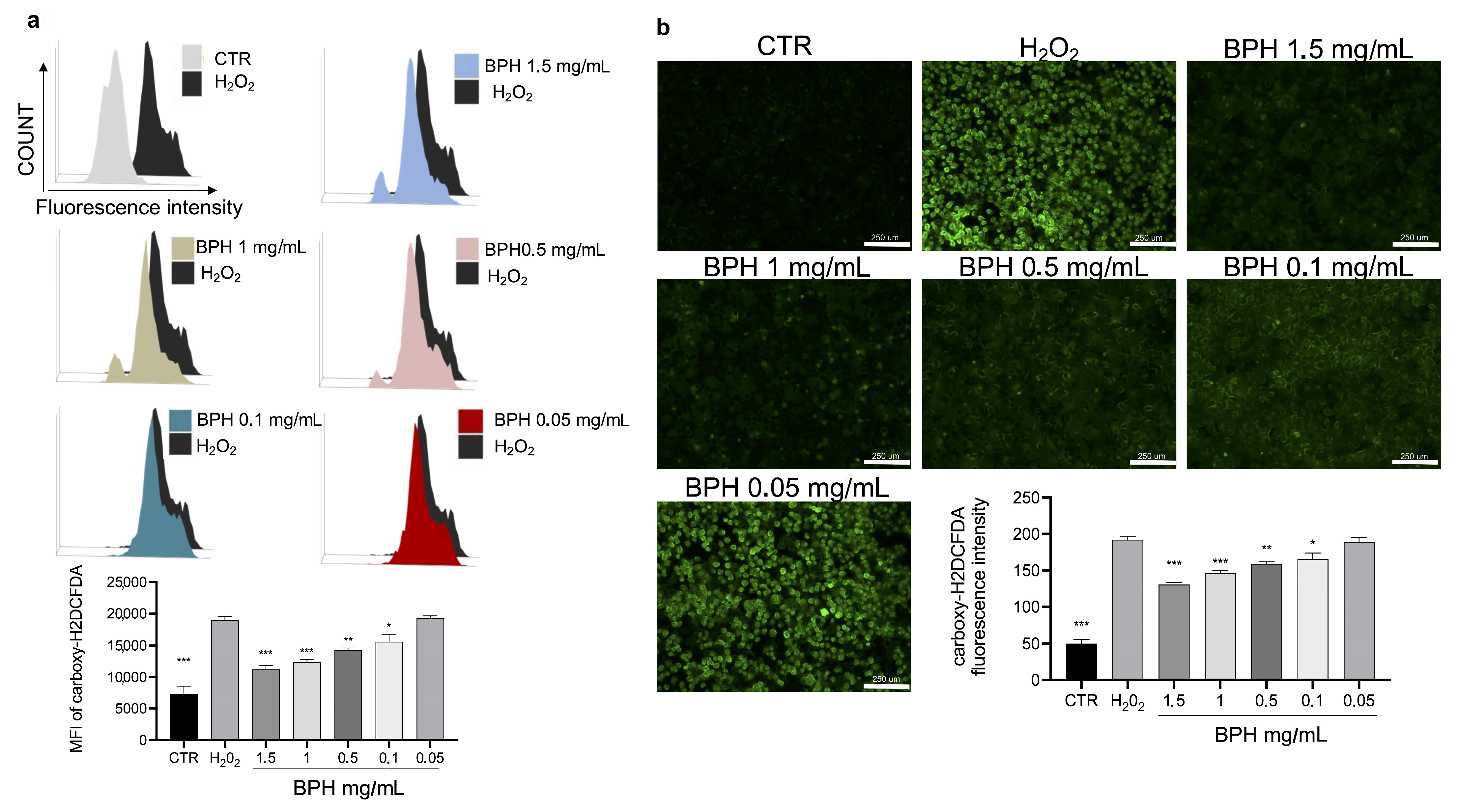 Antioxidants 12 00519 g003 Antioxidants 12 00519 g003