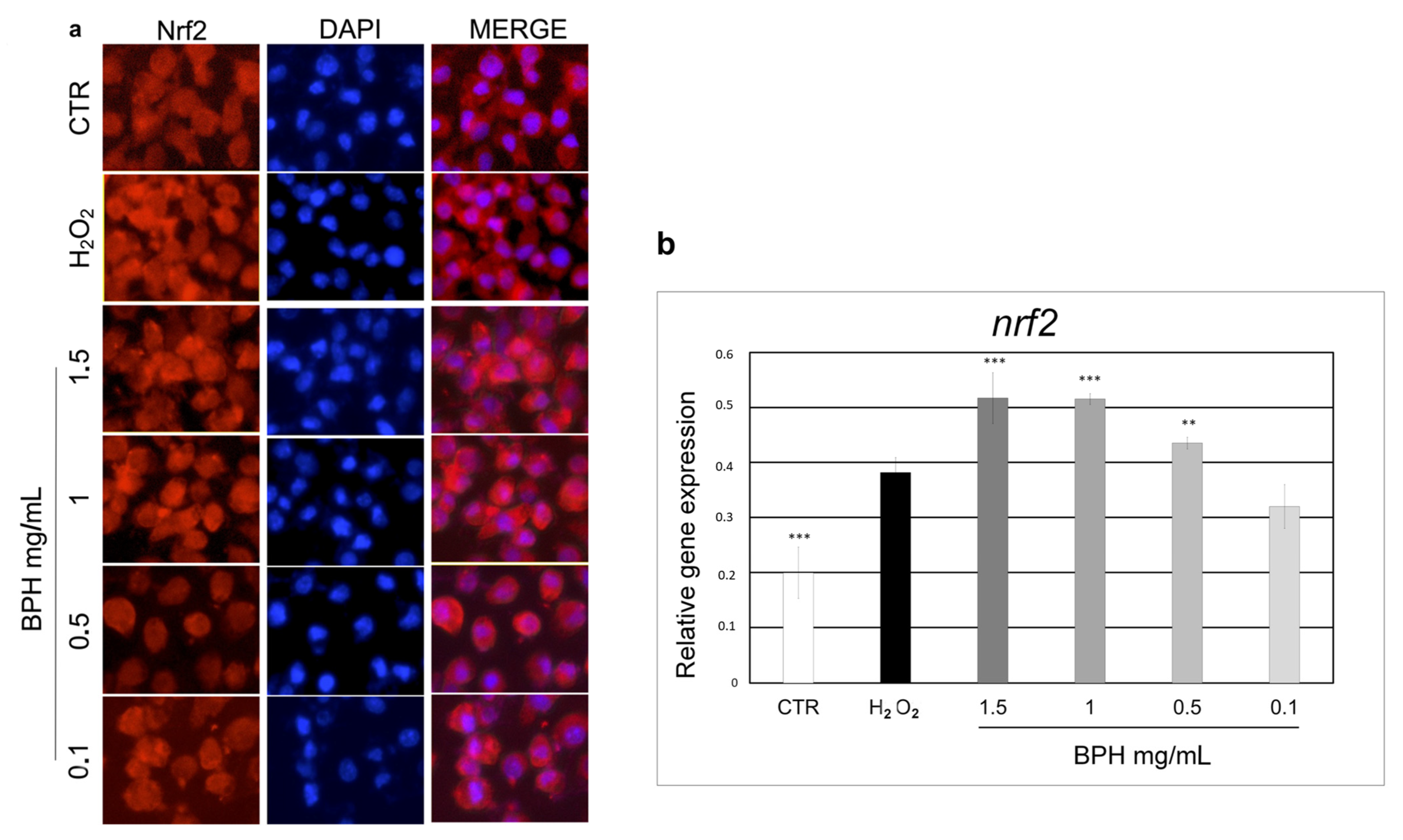 Antioxidants 12 00519 g004 Antioxidants 12 00519 g004