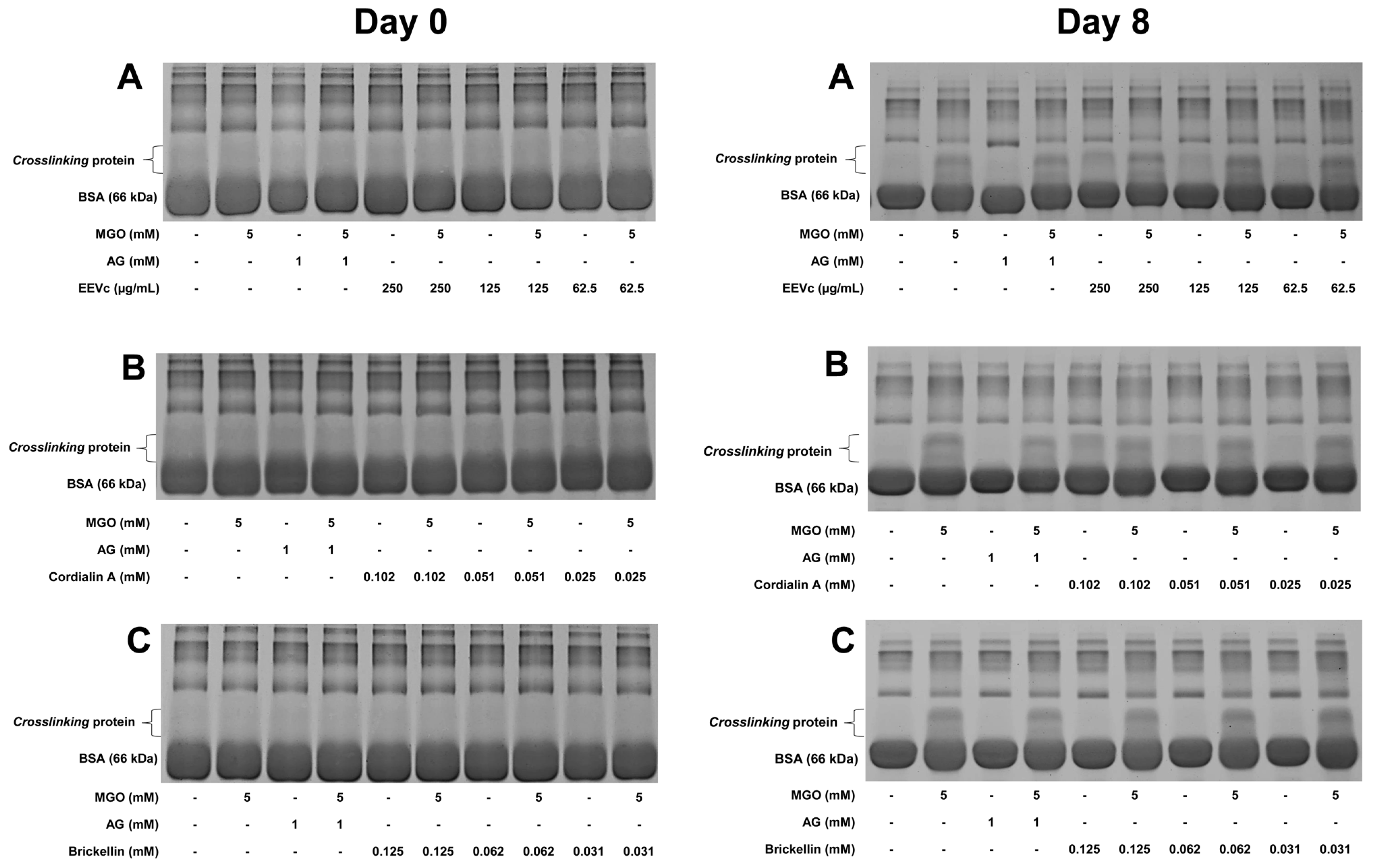 Antioxidants 12 00522 g005
