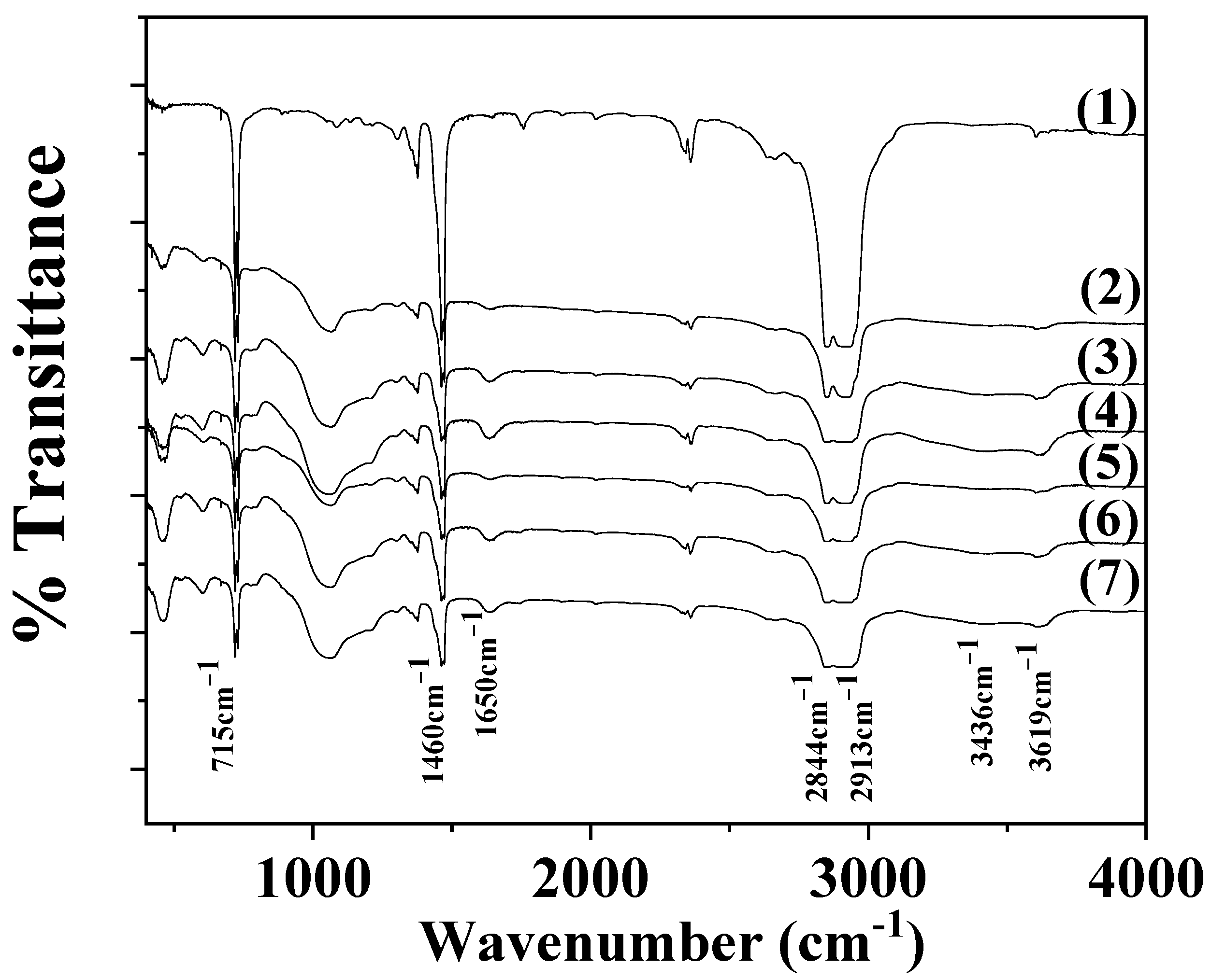 Antioxidants 12 00523 g003
