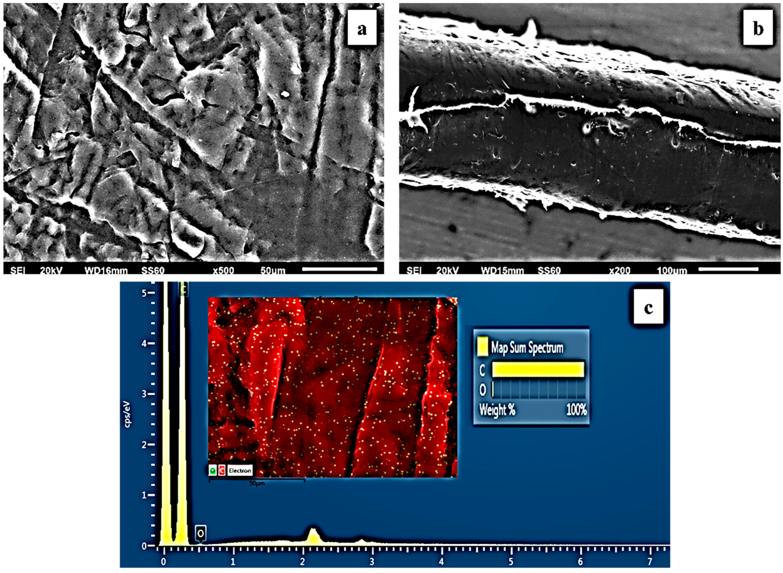 Antioxidants 12 00523 g004