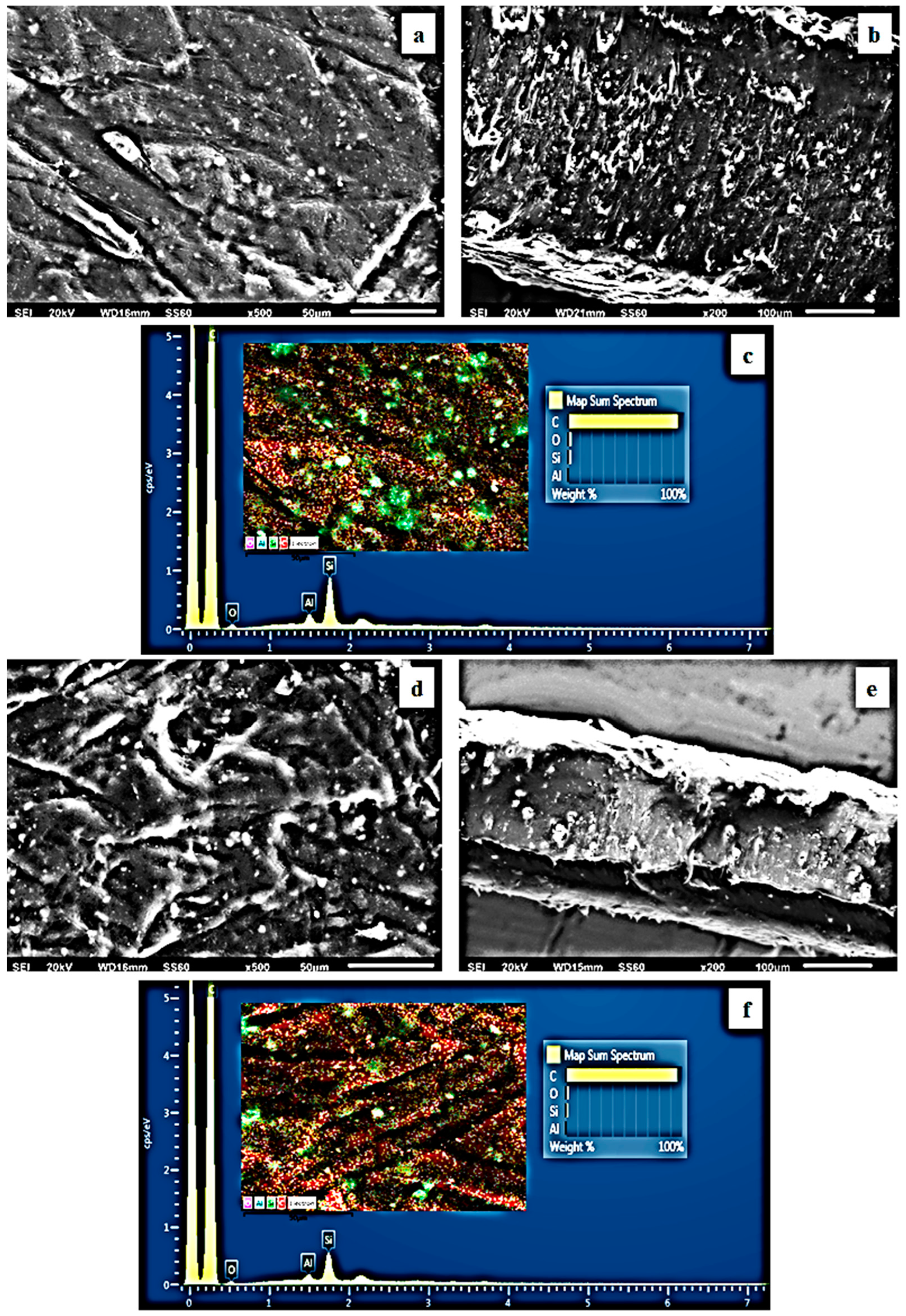 Antioxidants 12 00523 g006