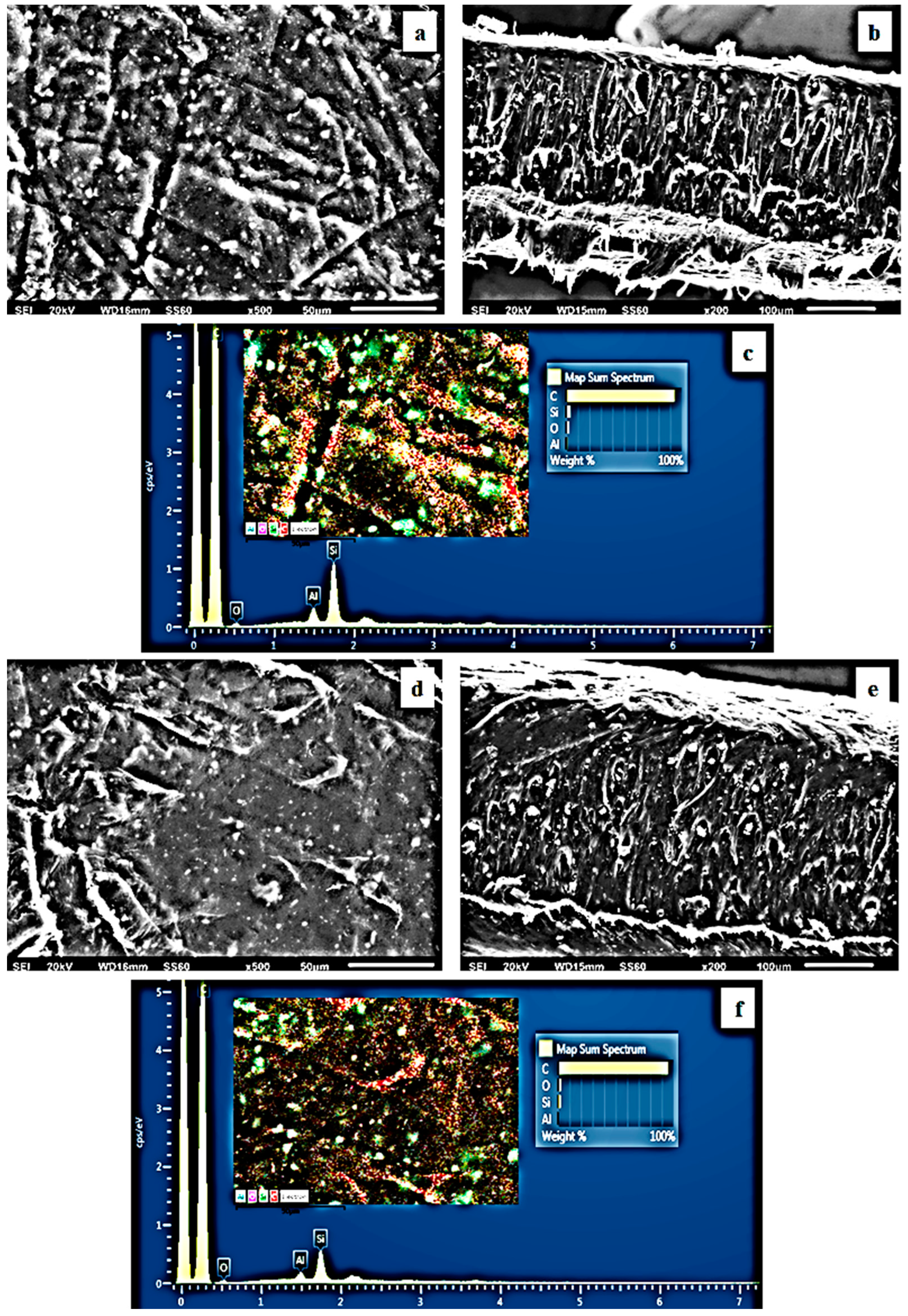 Antioxidants 12 00523 g007
