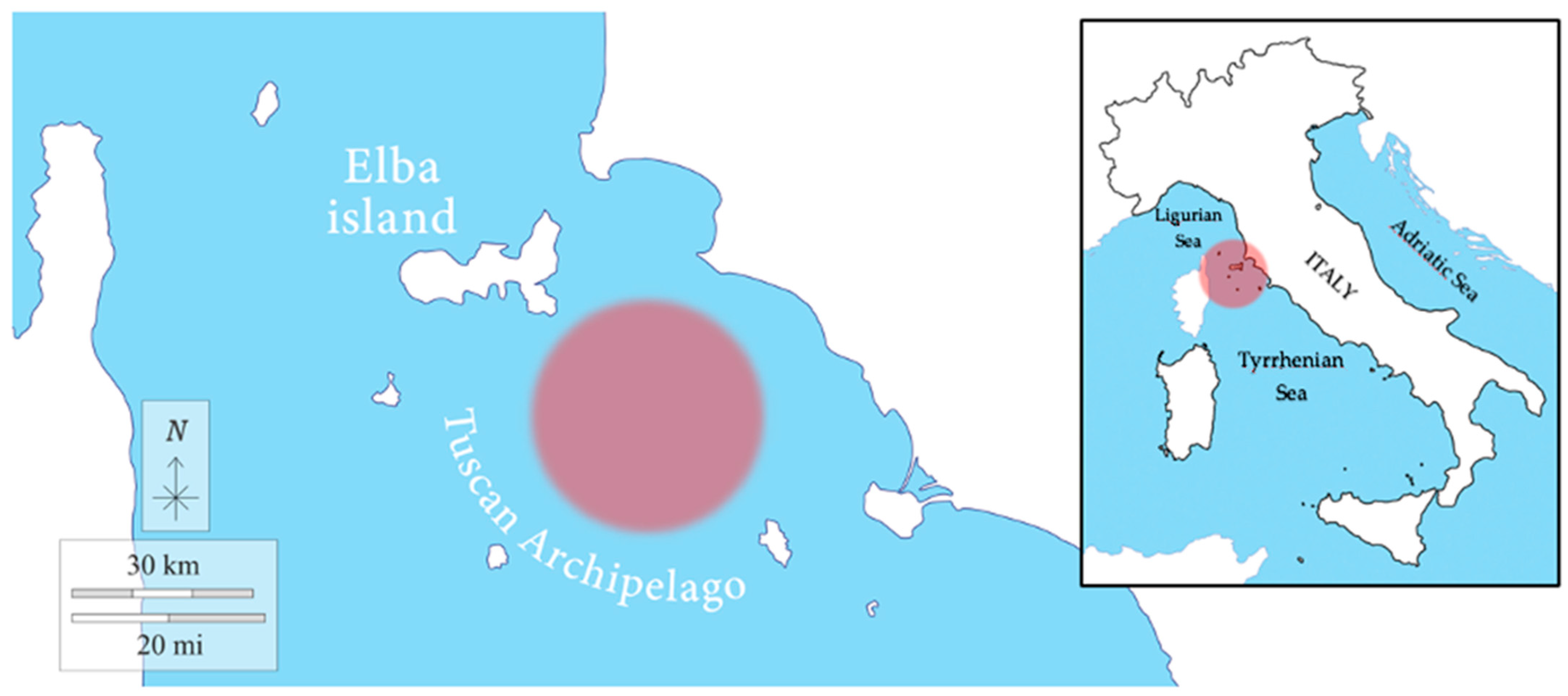 Antioxidants 12 00524 g001