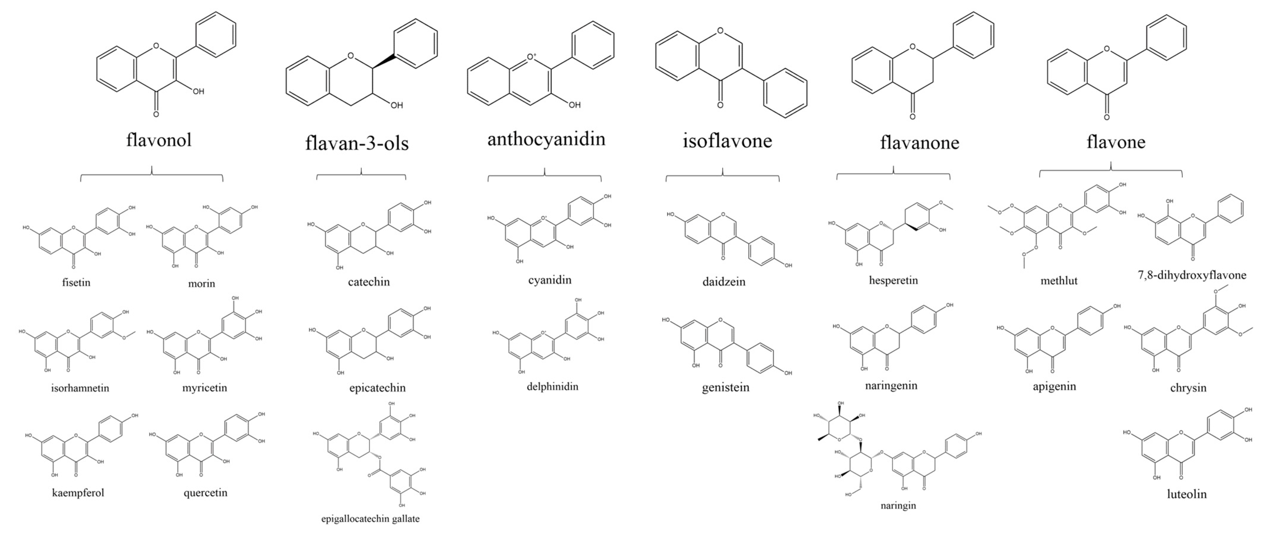 Antioxidants Free FullText Evidence of Flavonoids on Disease
