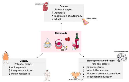Evidence of Flavonoids on Disease Prevention