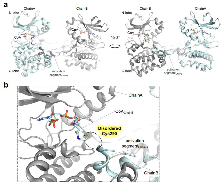 Antioxidants 12 00531 g003 Antioxidants 12 00531 g003