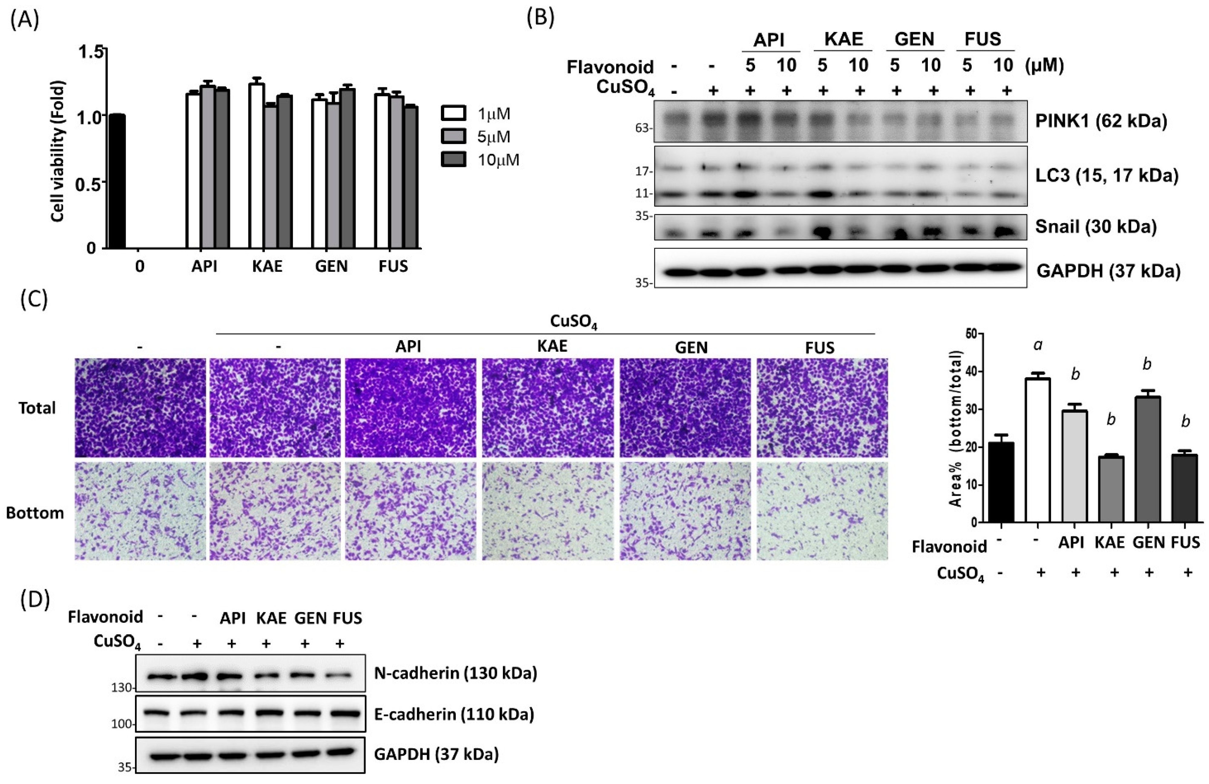 Antioxidants 12 00532 g005