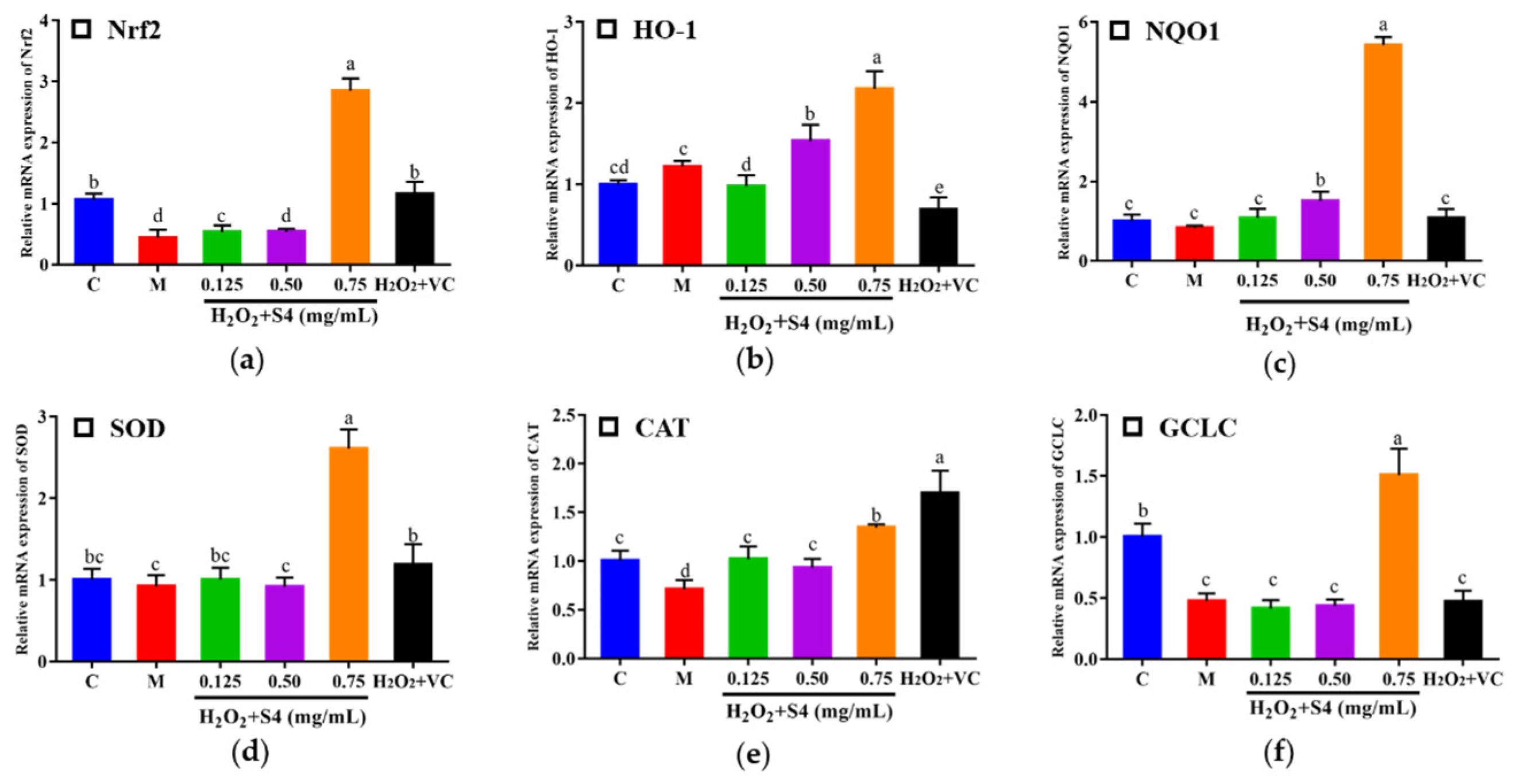 Antioxidants 12 00535 g008