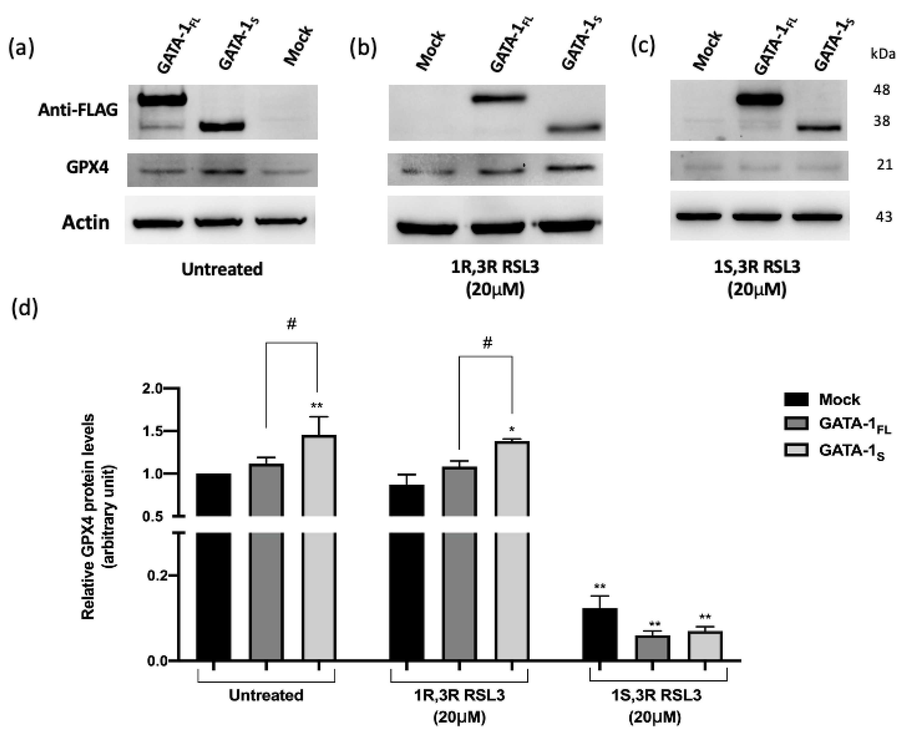 Antioxidants 12 00537 g008a Antioxidants 12 00537 g008a