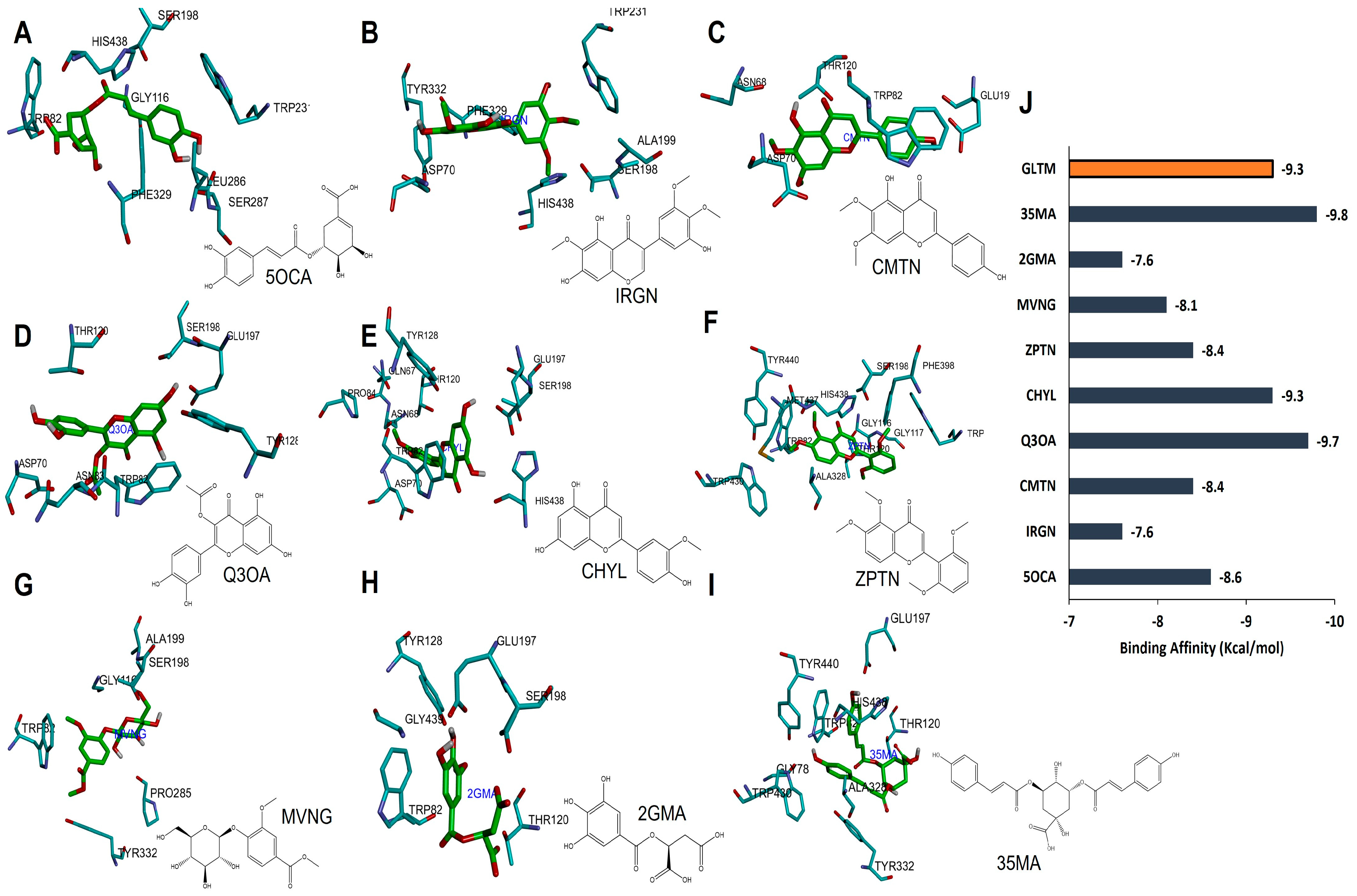 Antioxidants 12 00540 g008 Antioxidants 12 00540 g008