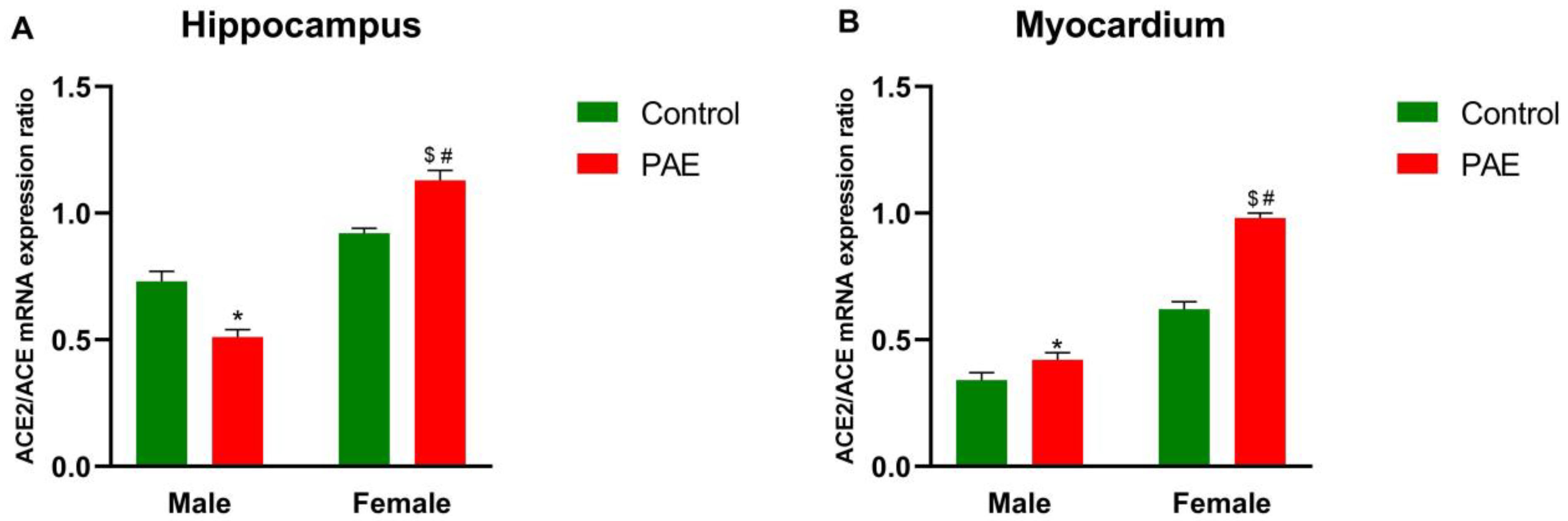 Antioxidants 12 00541 g001 Antioxidants 12 00541 g001