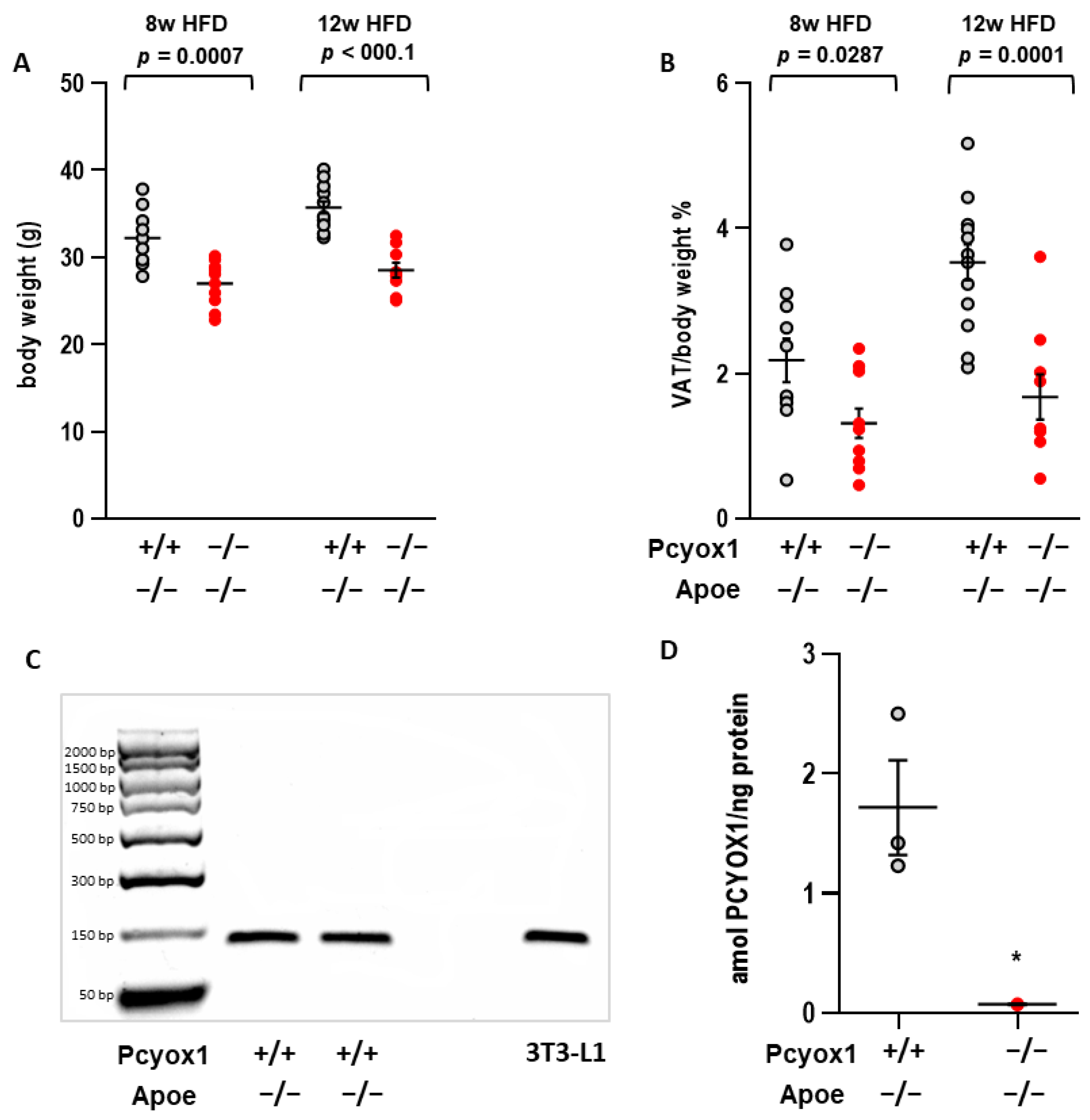 Antioxidants 12 00542 g001