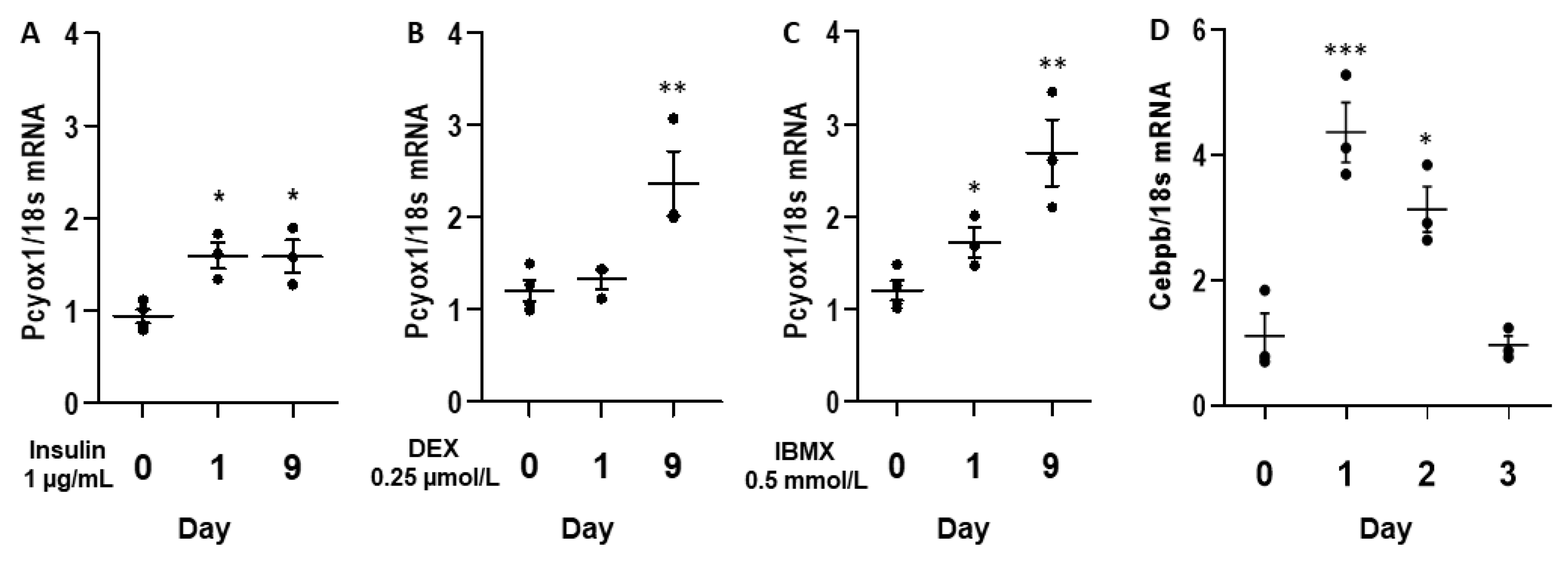 Antioxidants 12 00542 g003
