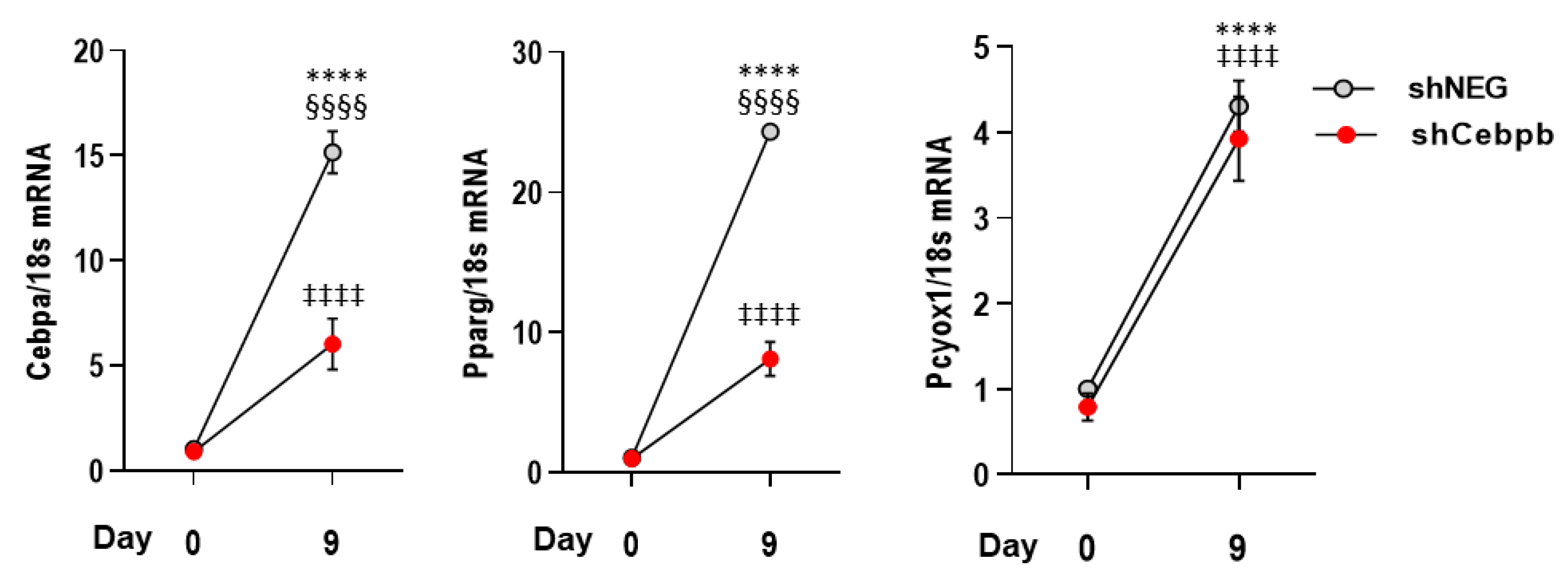 Antioxidants 12 00542 g005