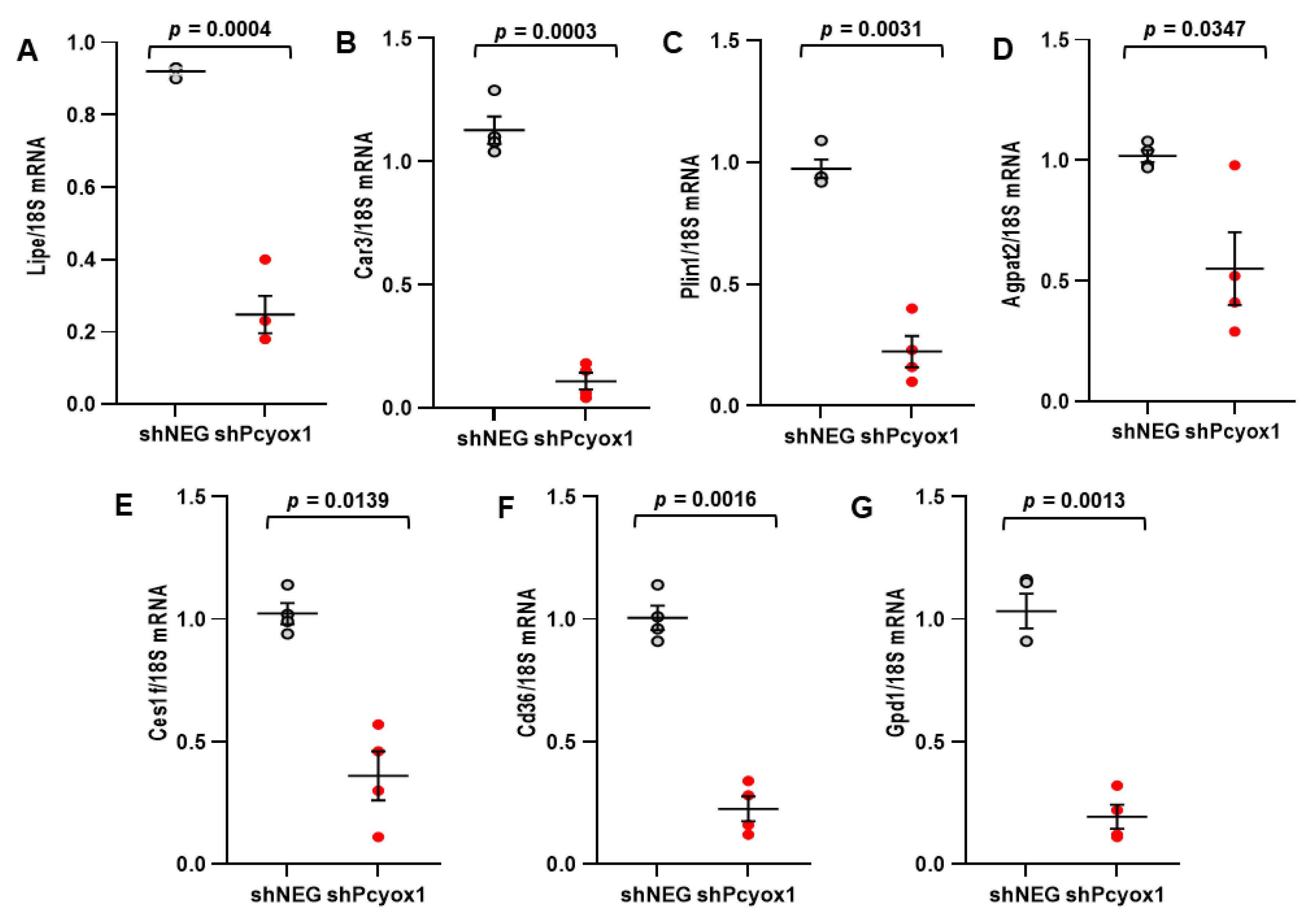 Antioxidants 12 00542 g007