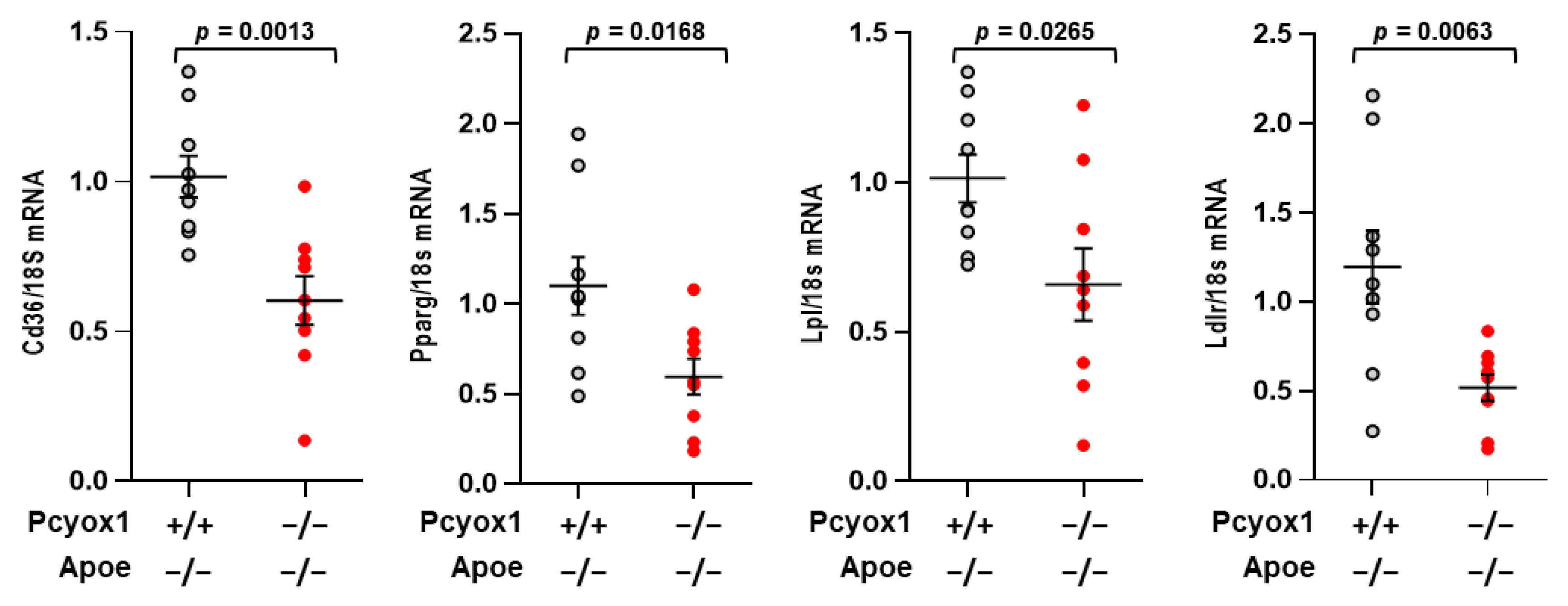 Antioxidants 12 00542 g008