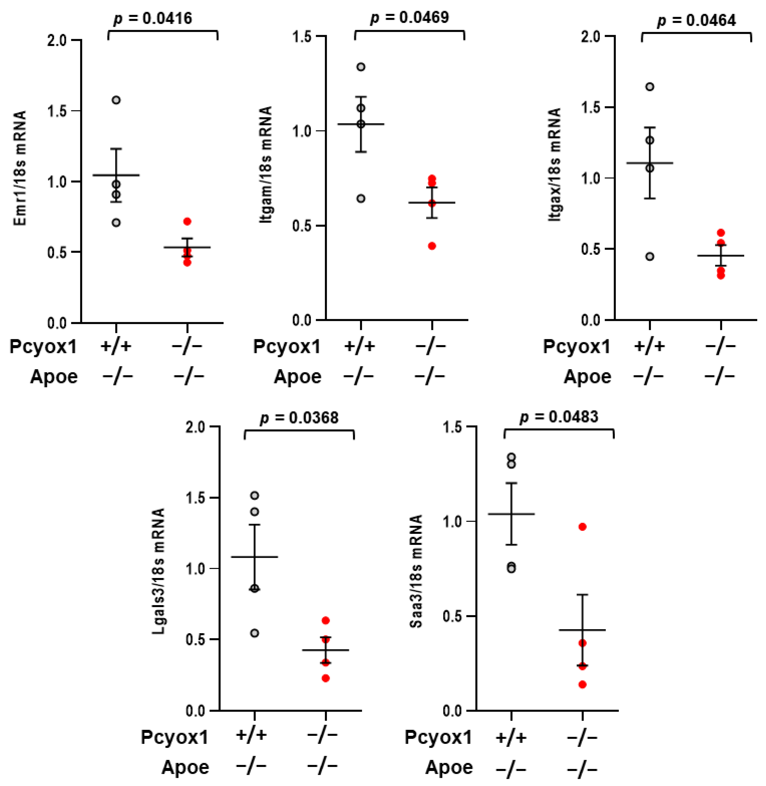 Antioxidants 12 00542 g009