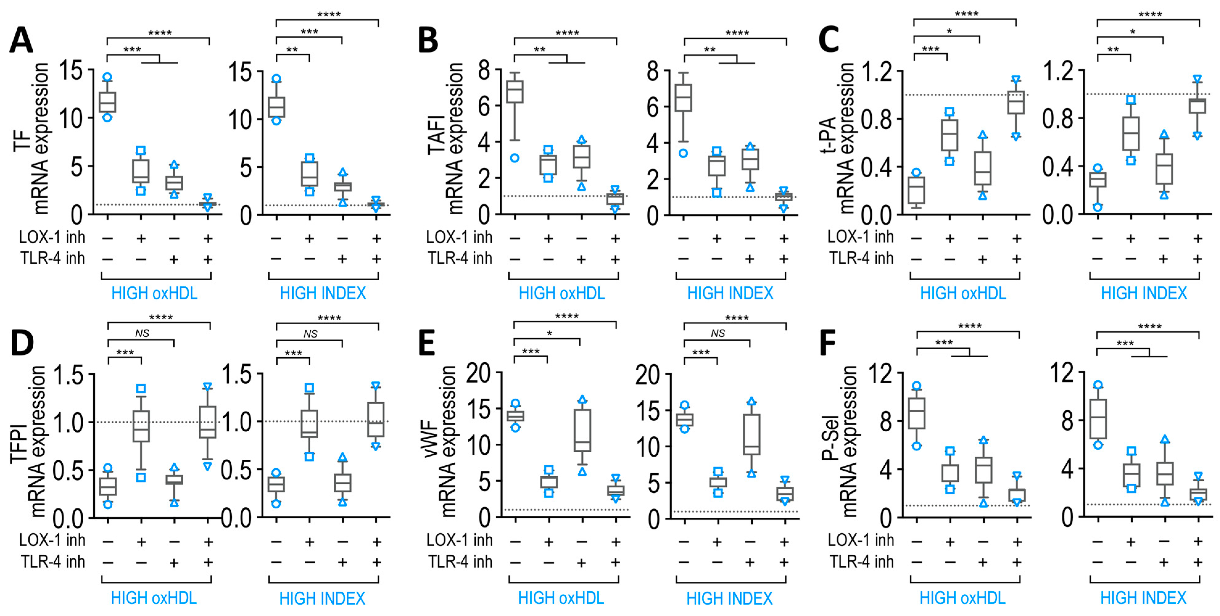 Antioxidants 12 00543 g008 Antioxidants 12 00543 g008