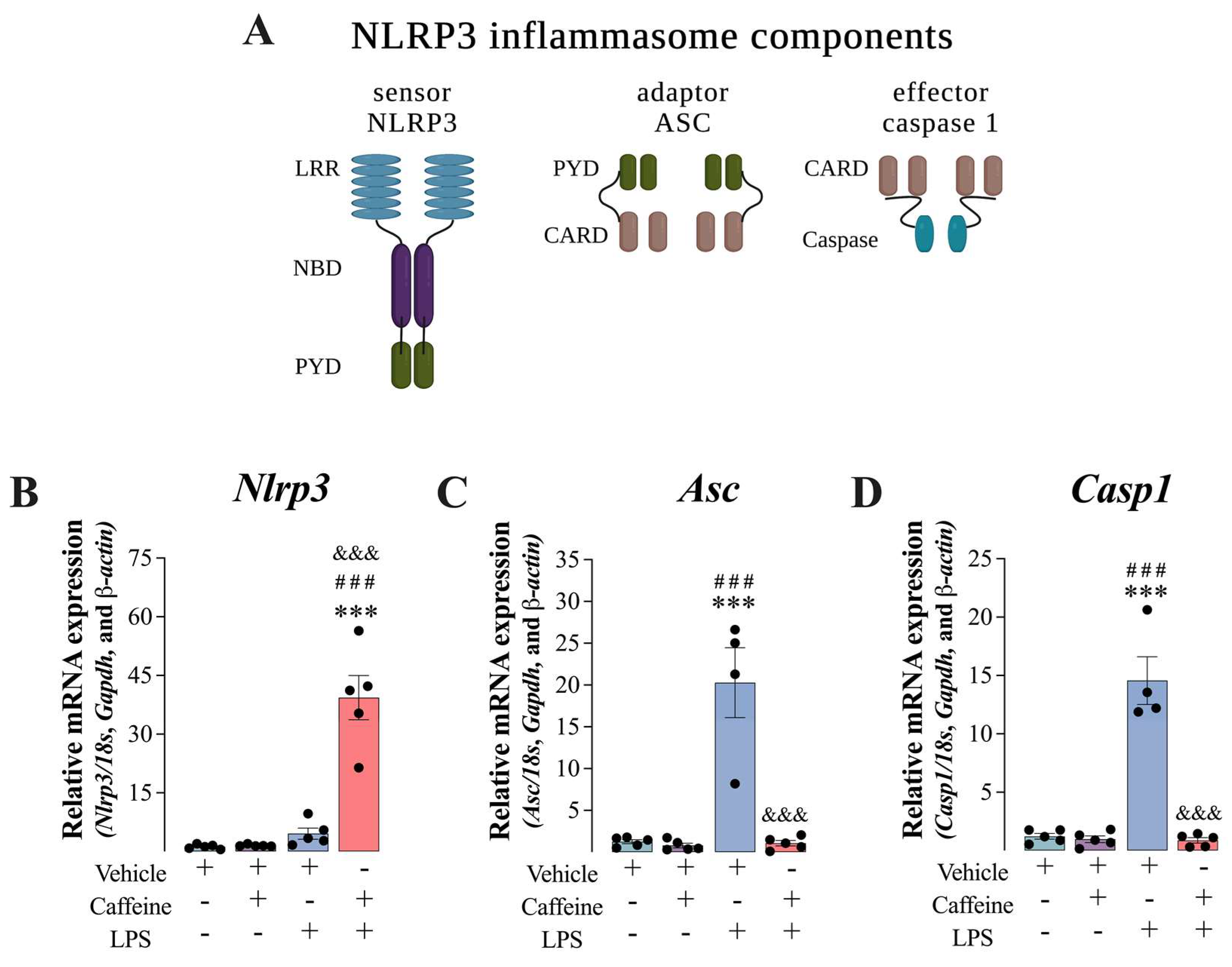 Antioxidants 12 00554 g002 Antioxidants 12 00554 g002