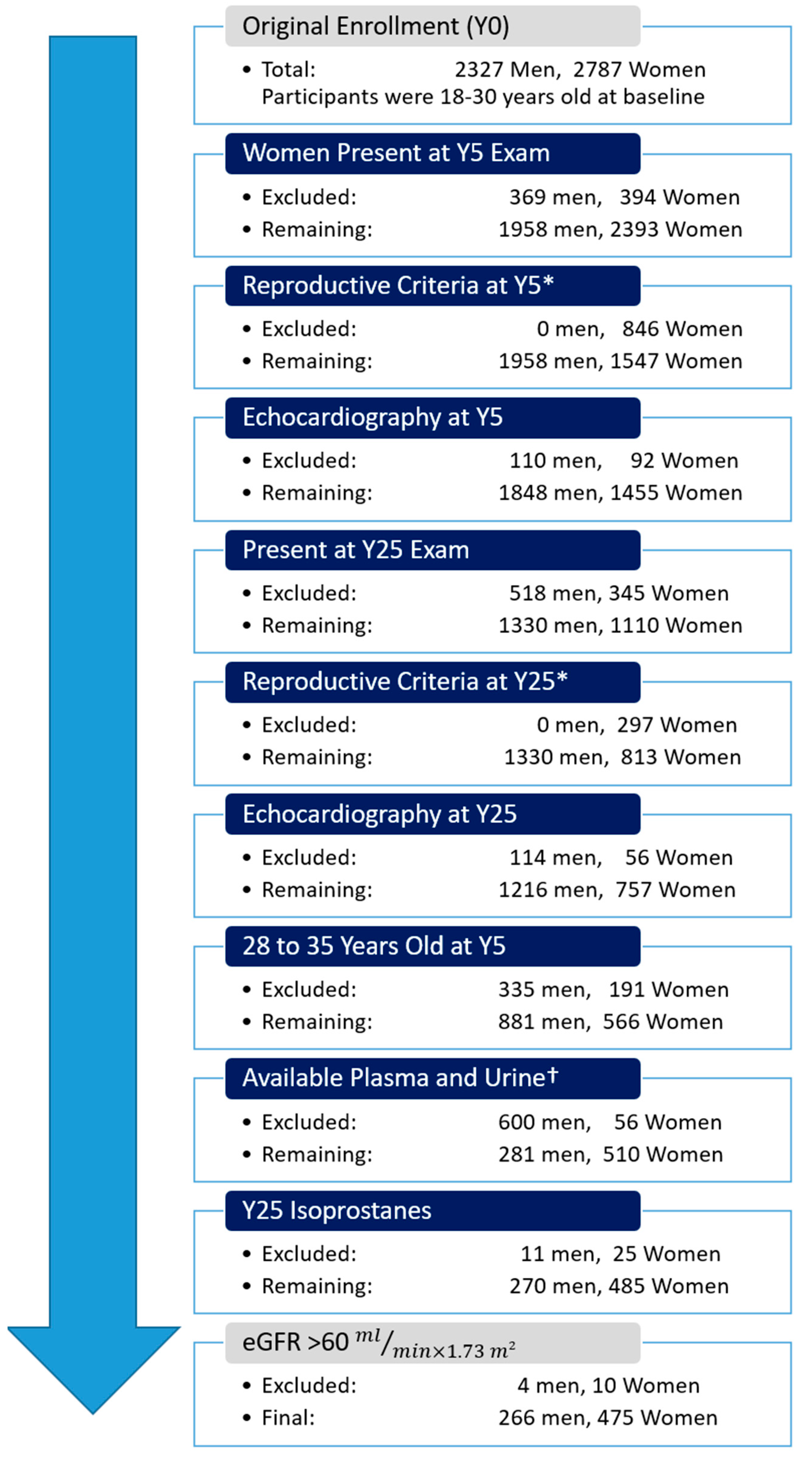 Antioxidants 12 00555 g001 Antioxidants 12 00555 g001