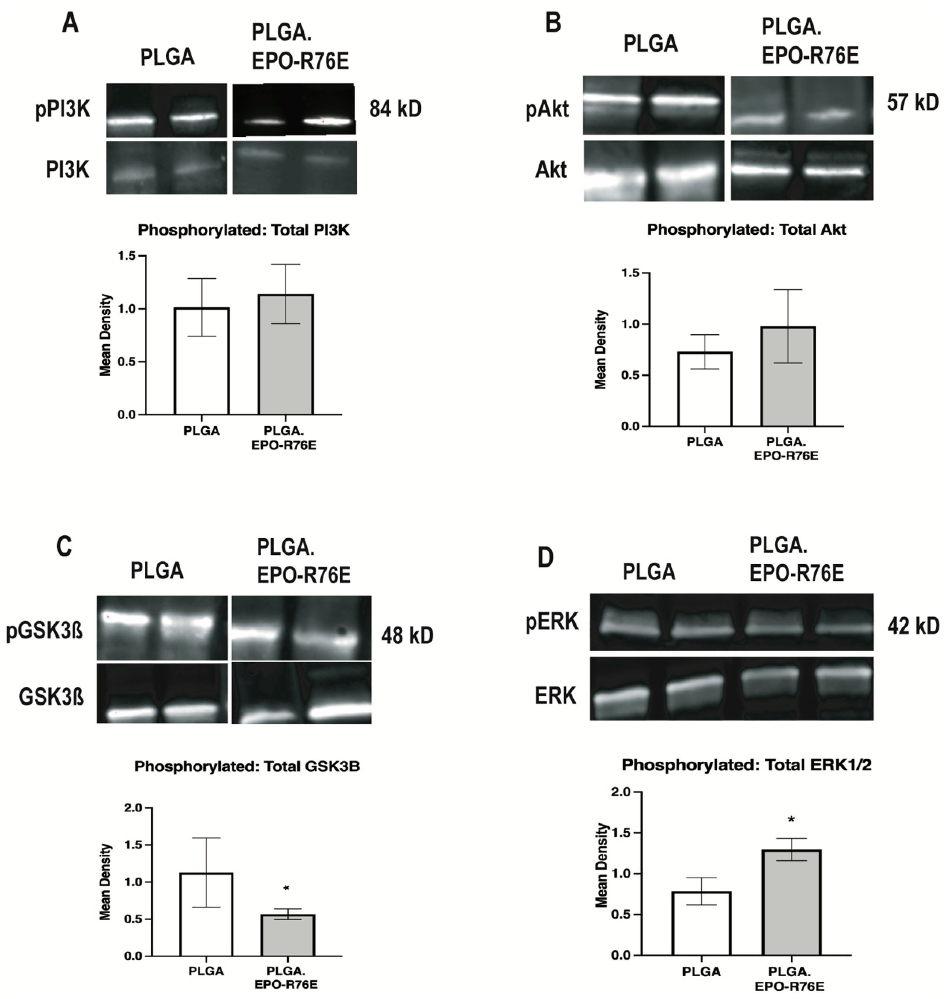 Antioxidants 12 00556 g004