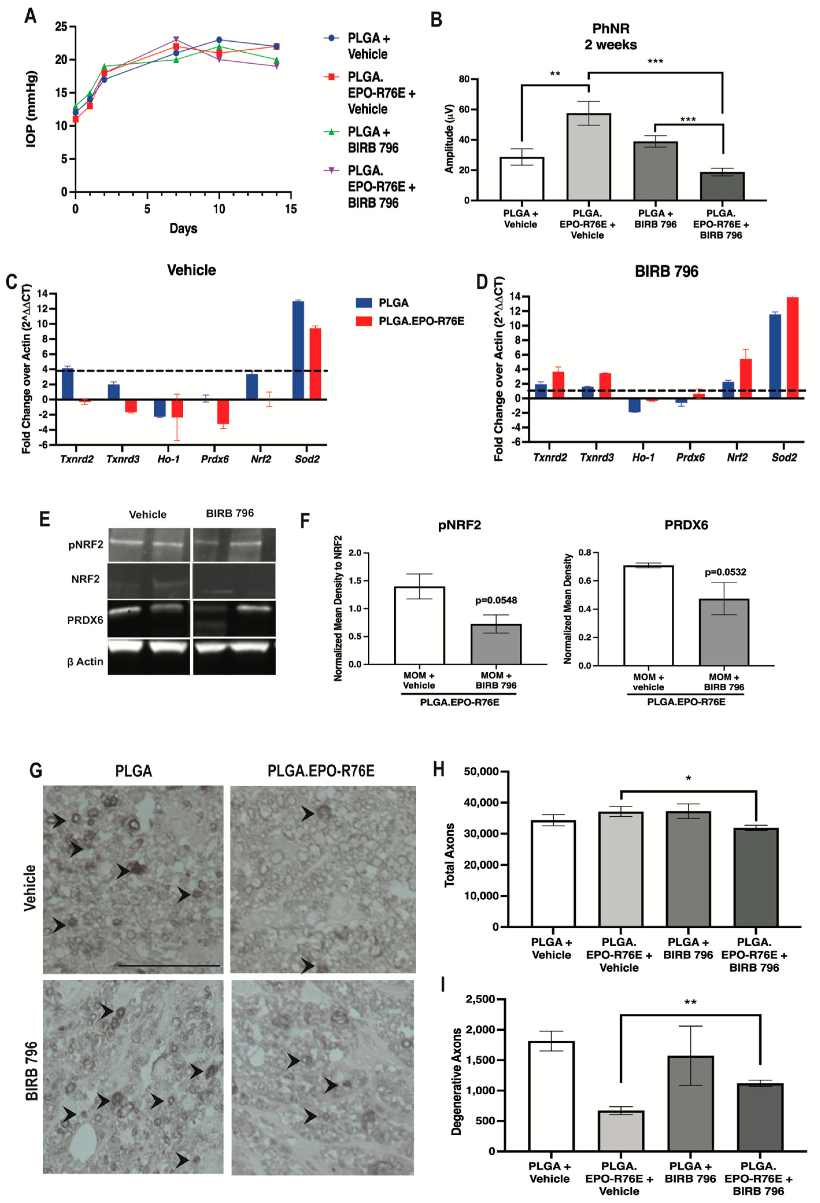 Antioxidants 12 00556 g005