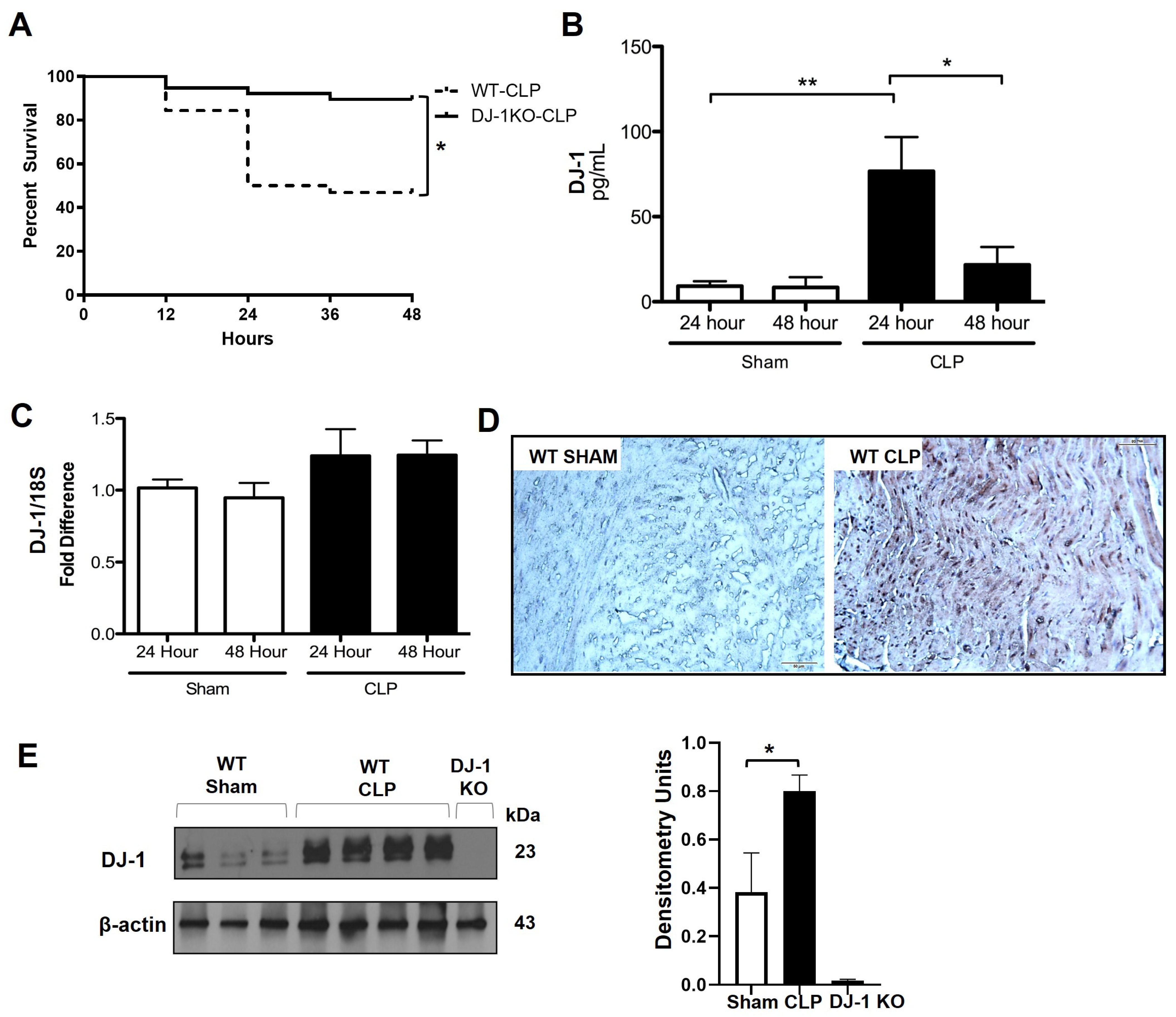 Antioxidants 12 00561 g002