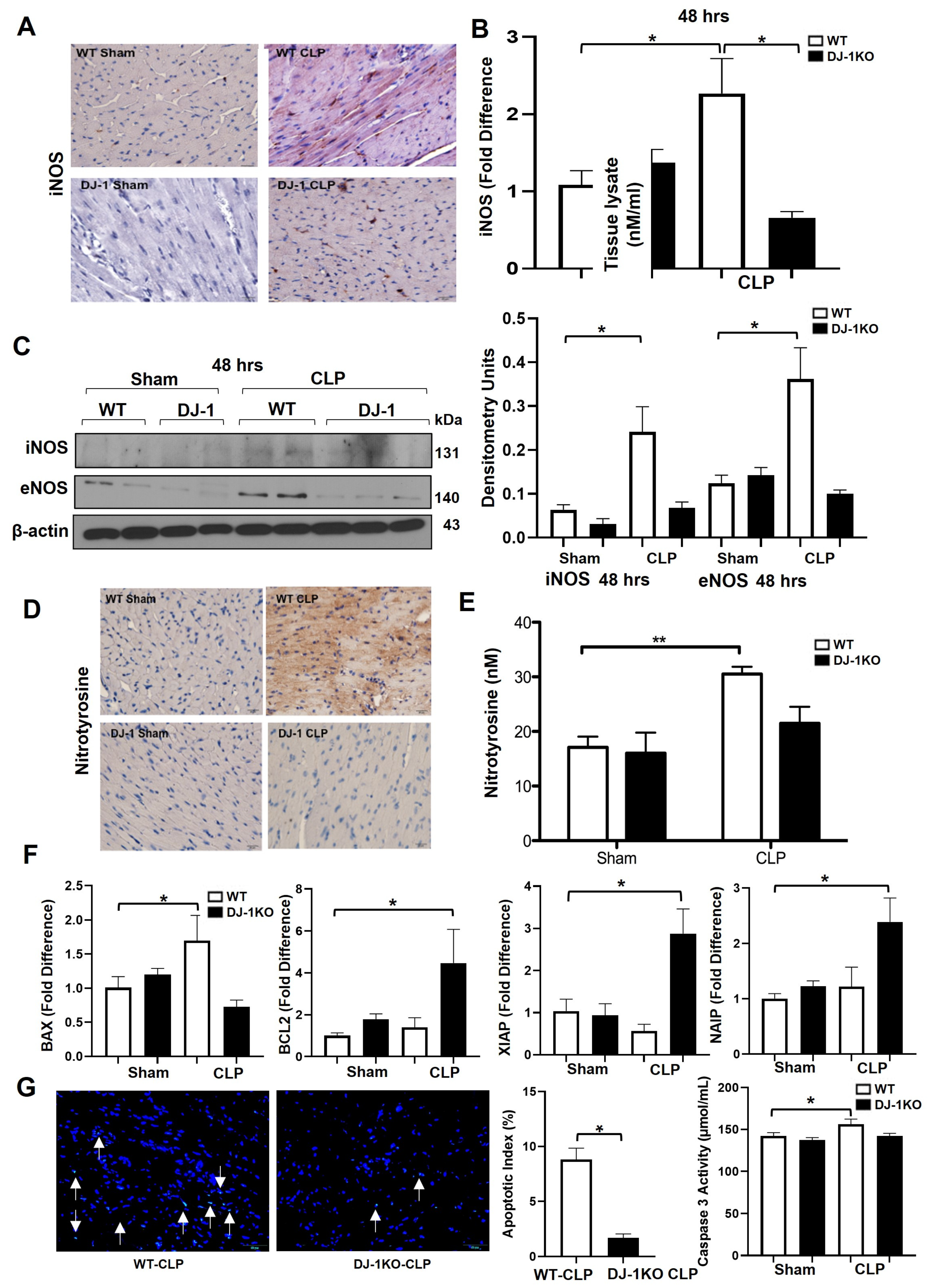 Antioxidants 12 00561 g005