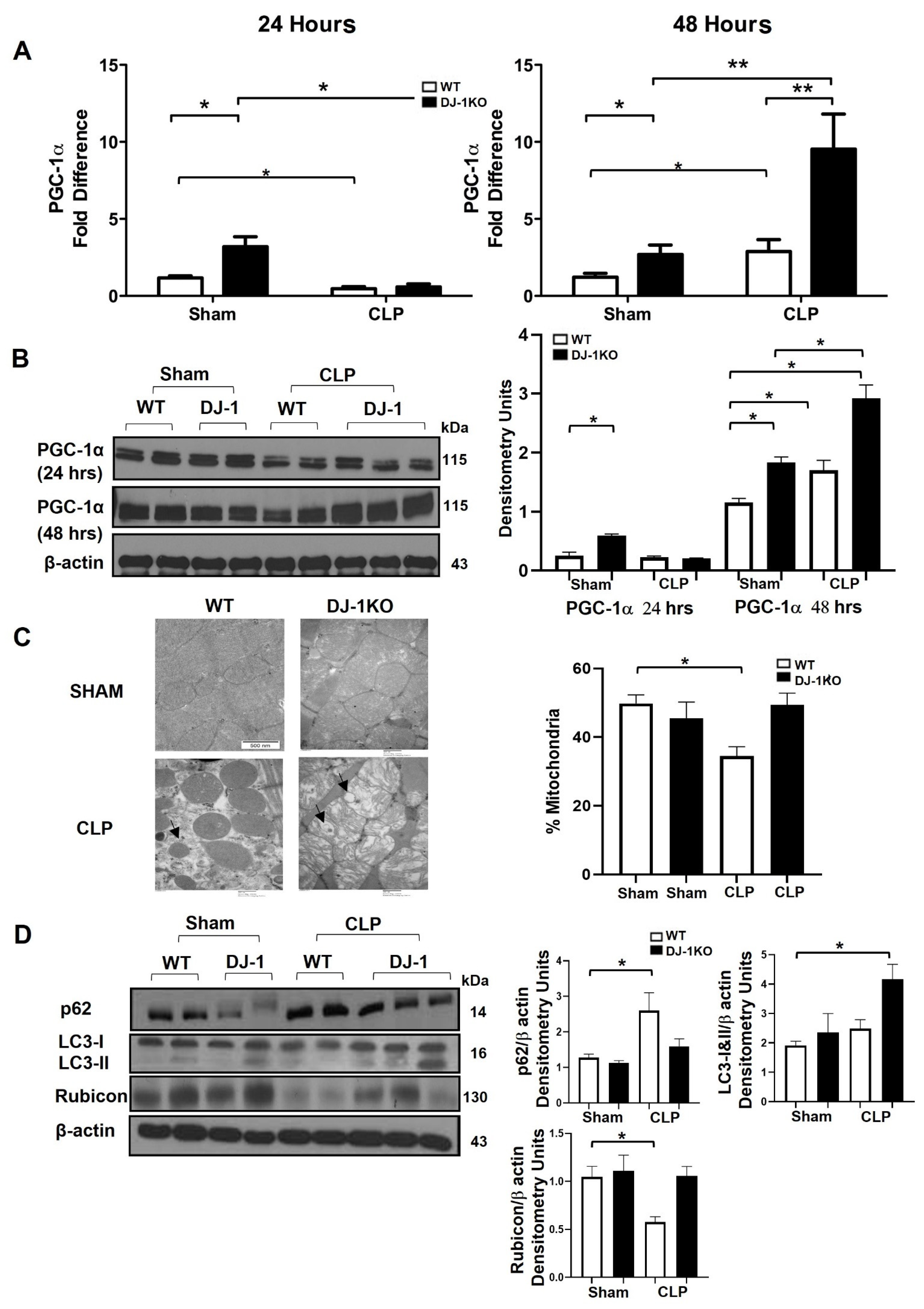 Antioxidants 12 00561 g007