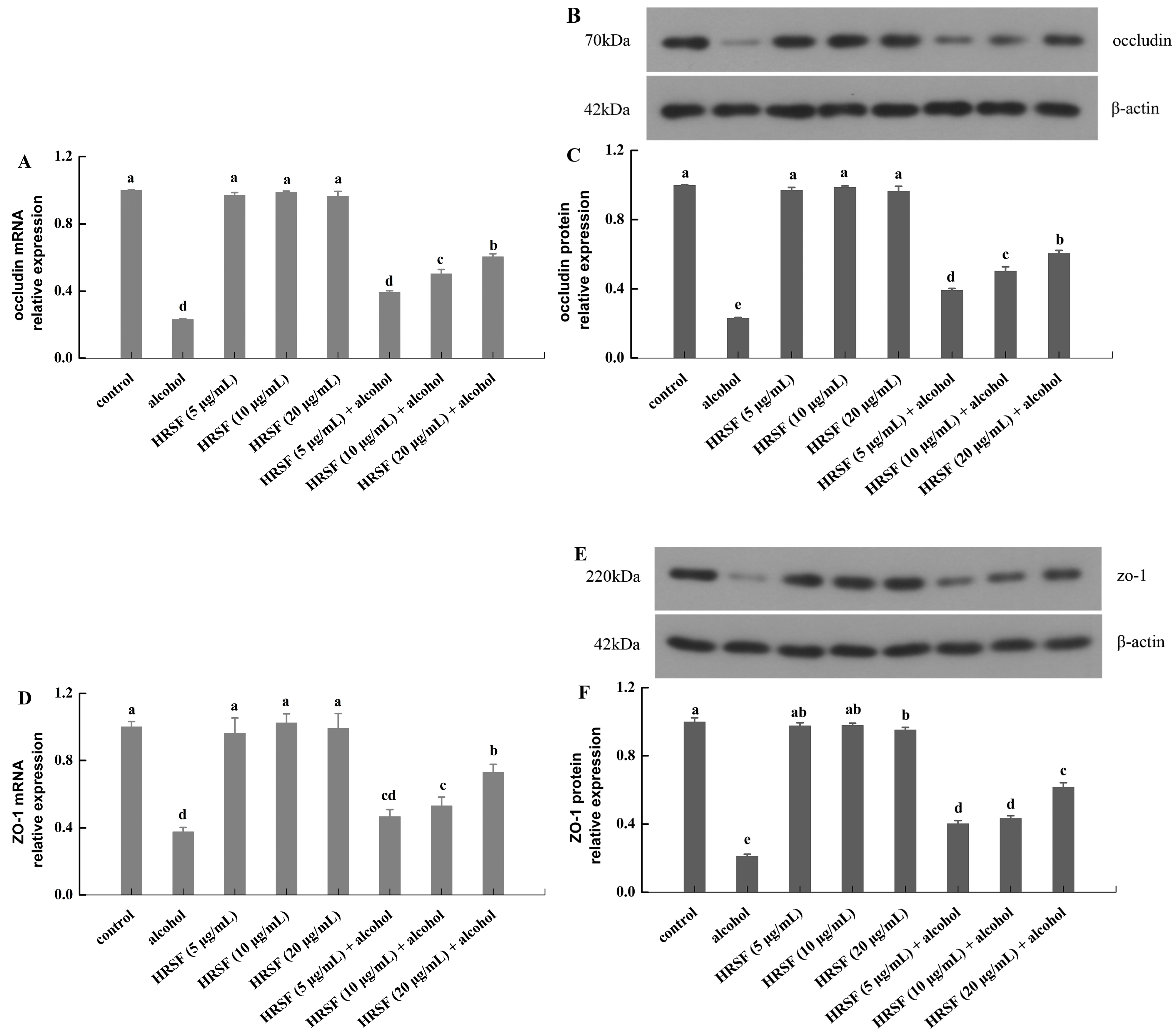 Antioxidants 12 00562 g003 Antioxidants 12 00562 g003