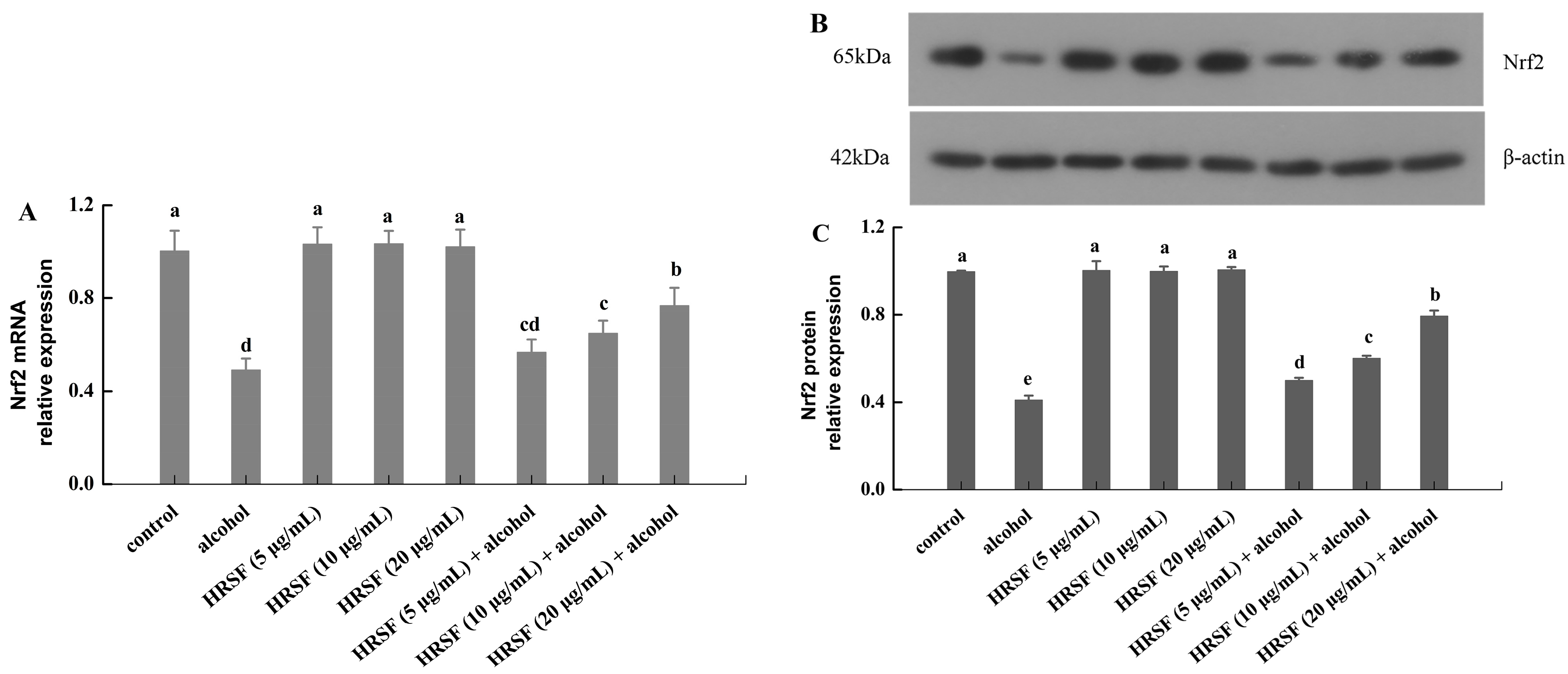Antioxidants 12 00562 g006 Antioxidants 12 00562 g006
