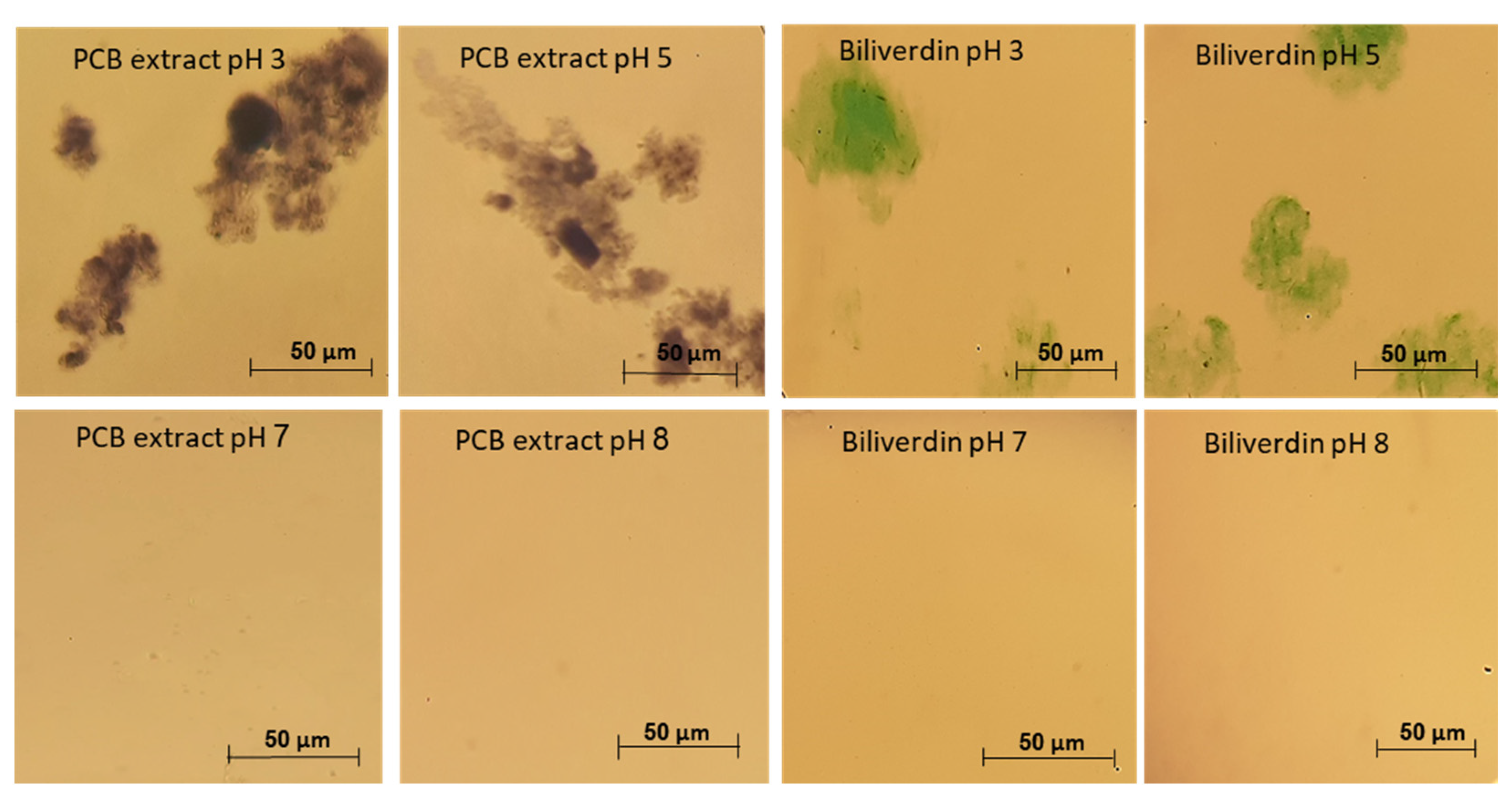 Antioxidants 12 00568 g005