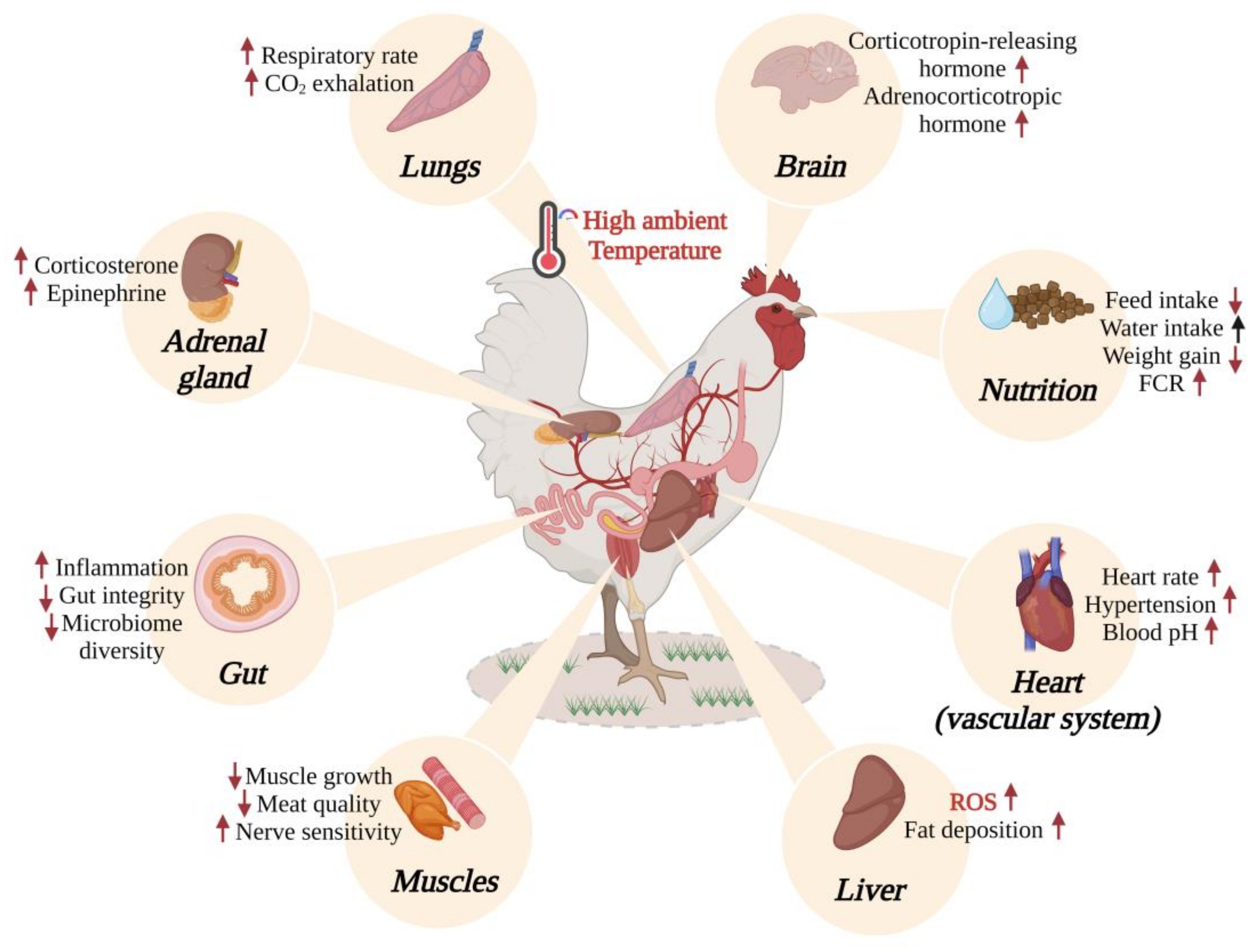 Antioxidants 12 00570 g001