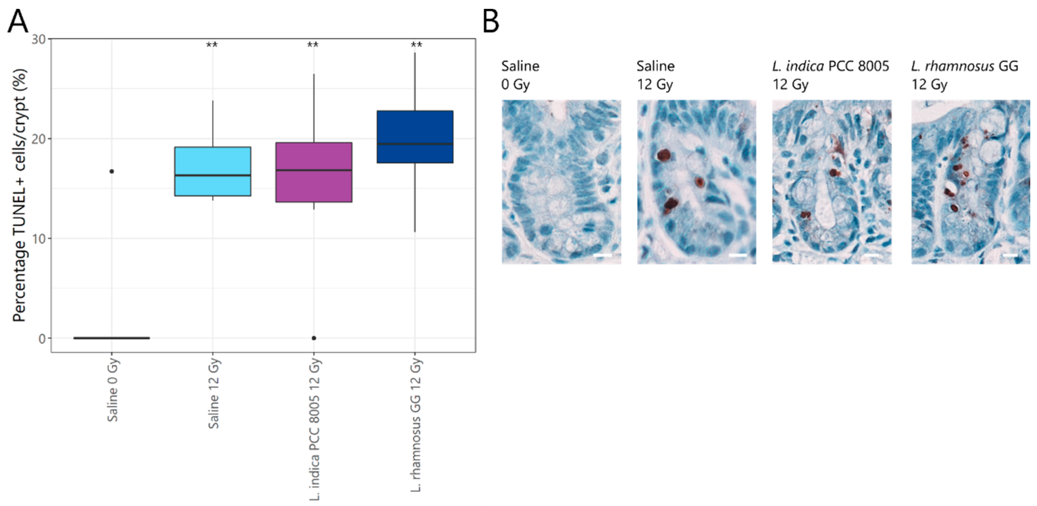Antioxidants 12 00572 g003