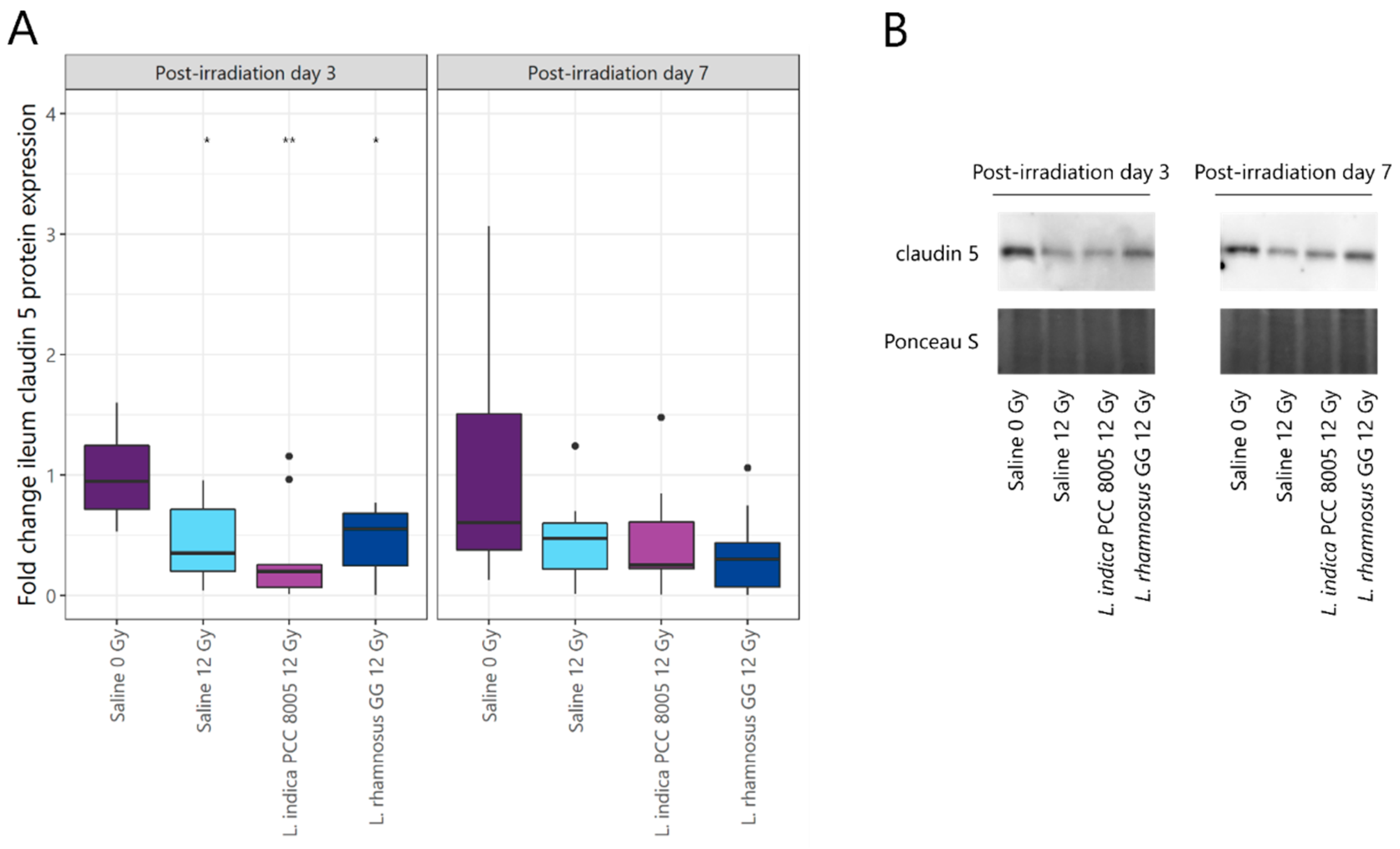 Antioxidants 12 00572 g005