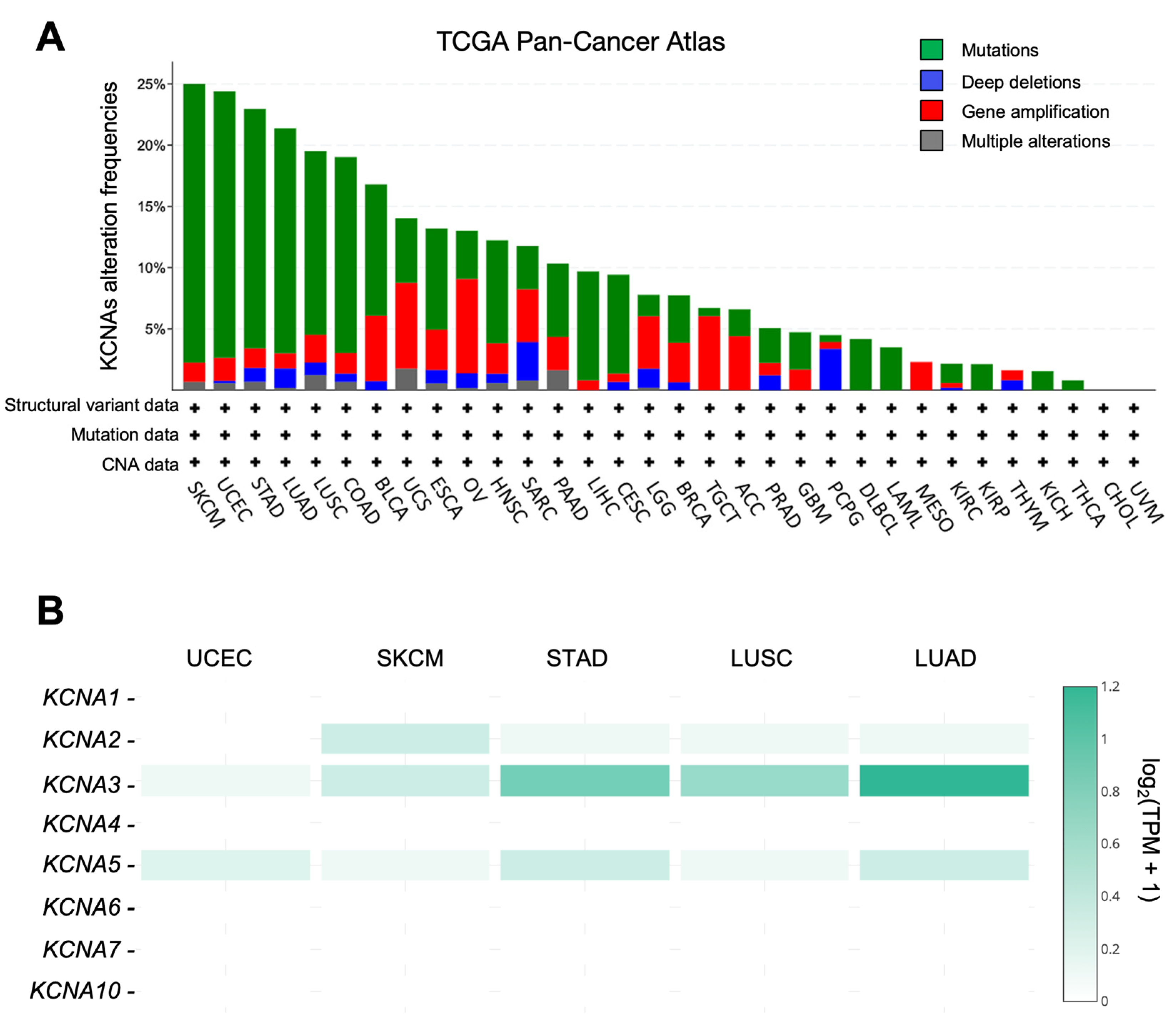 Antioxidants 12 00573 g001 Antioxidants 12 00573 g001