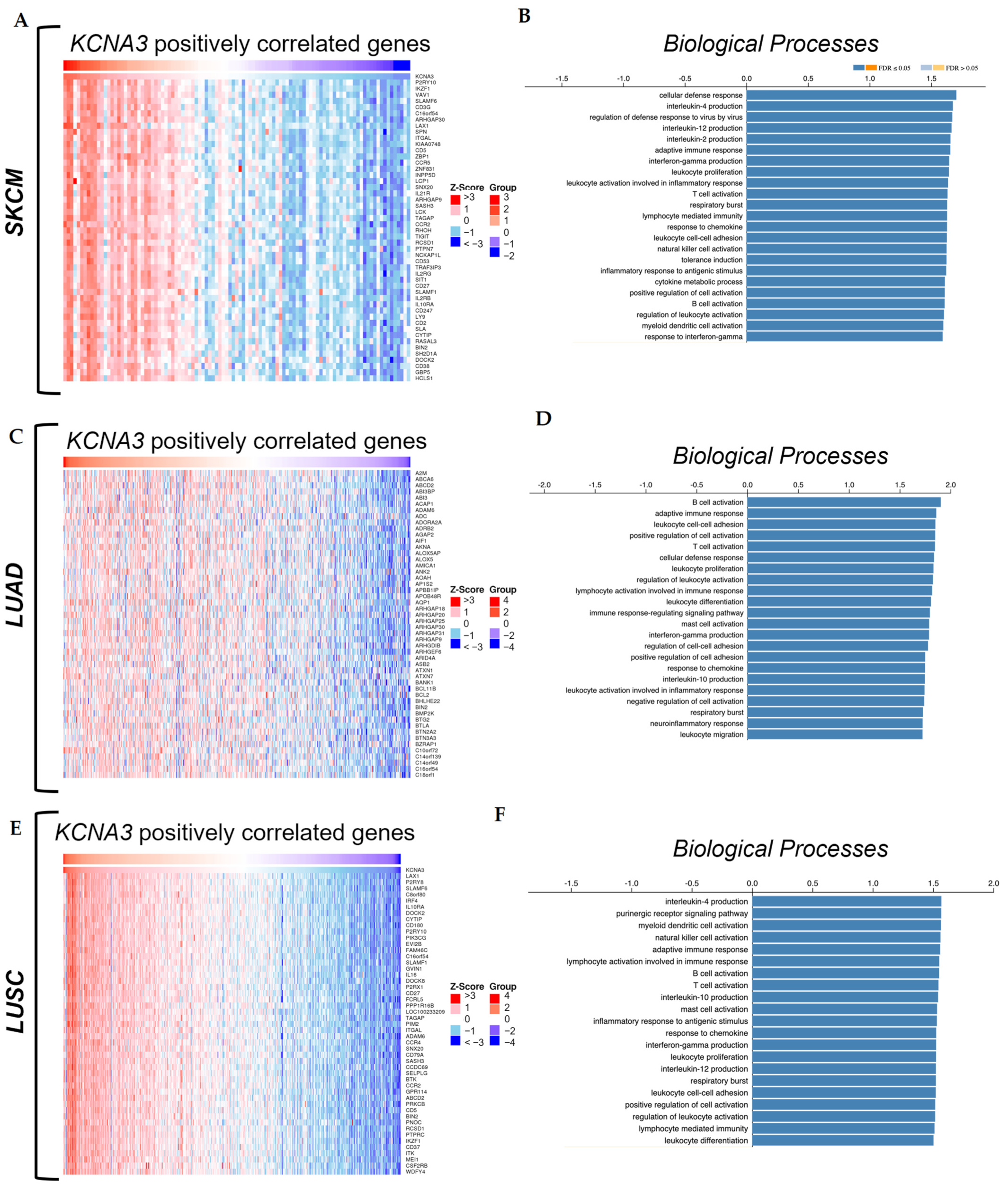 Antioxidants 12 00573 g004 Antioxidants 12 00573 g004