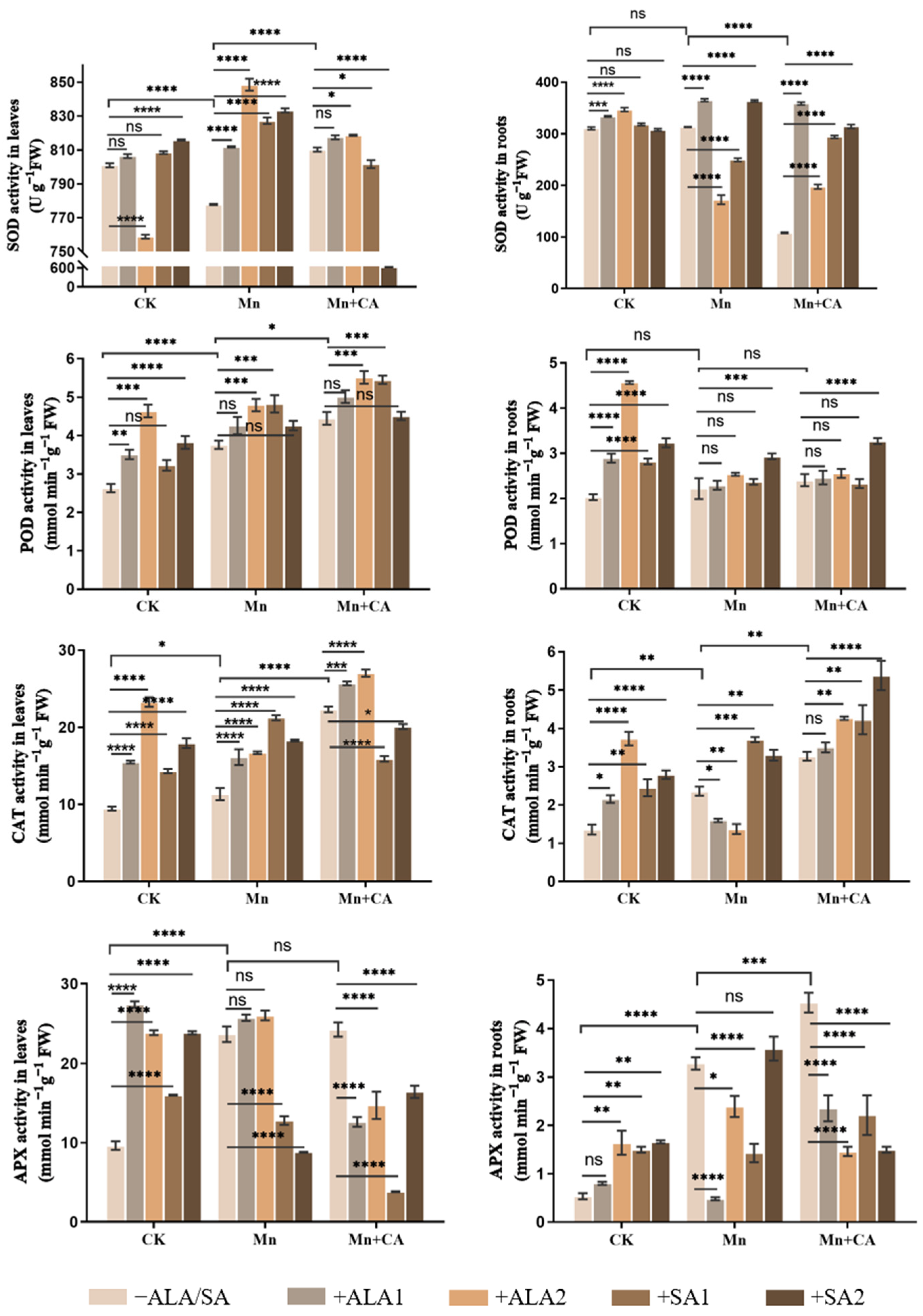 Antioxidants 12 00580 g002 Antioxidants 12 00580 g002