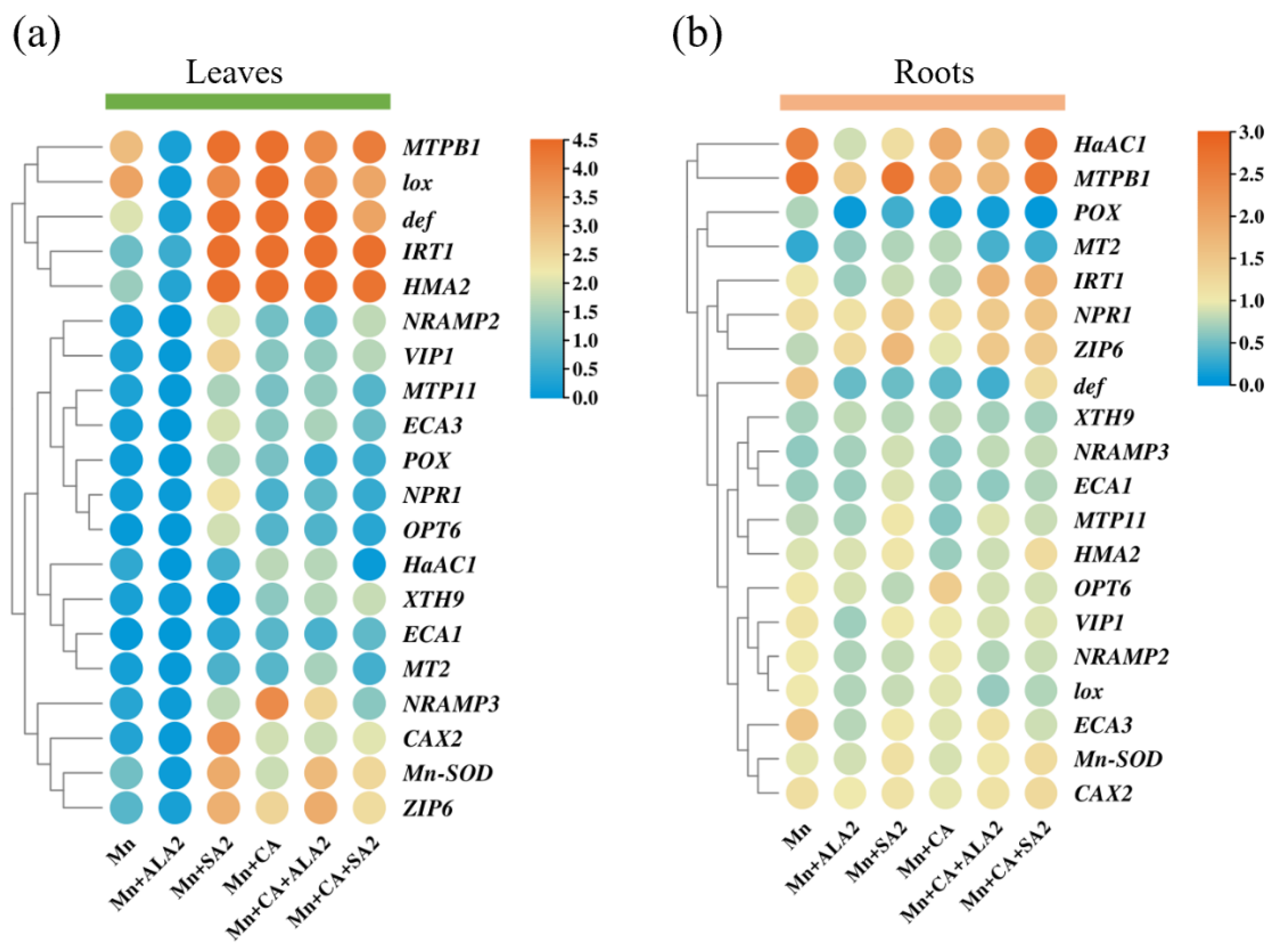 Antioxidants 12 00580 g006 Antioxidants 12 00580 g006