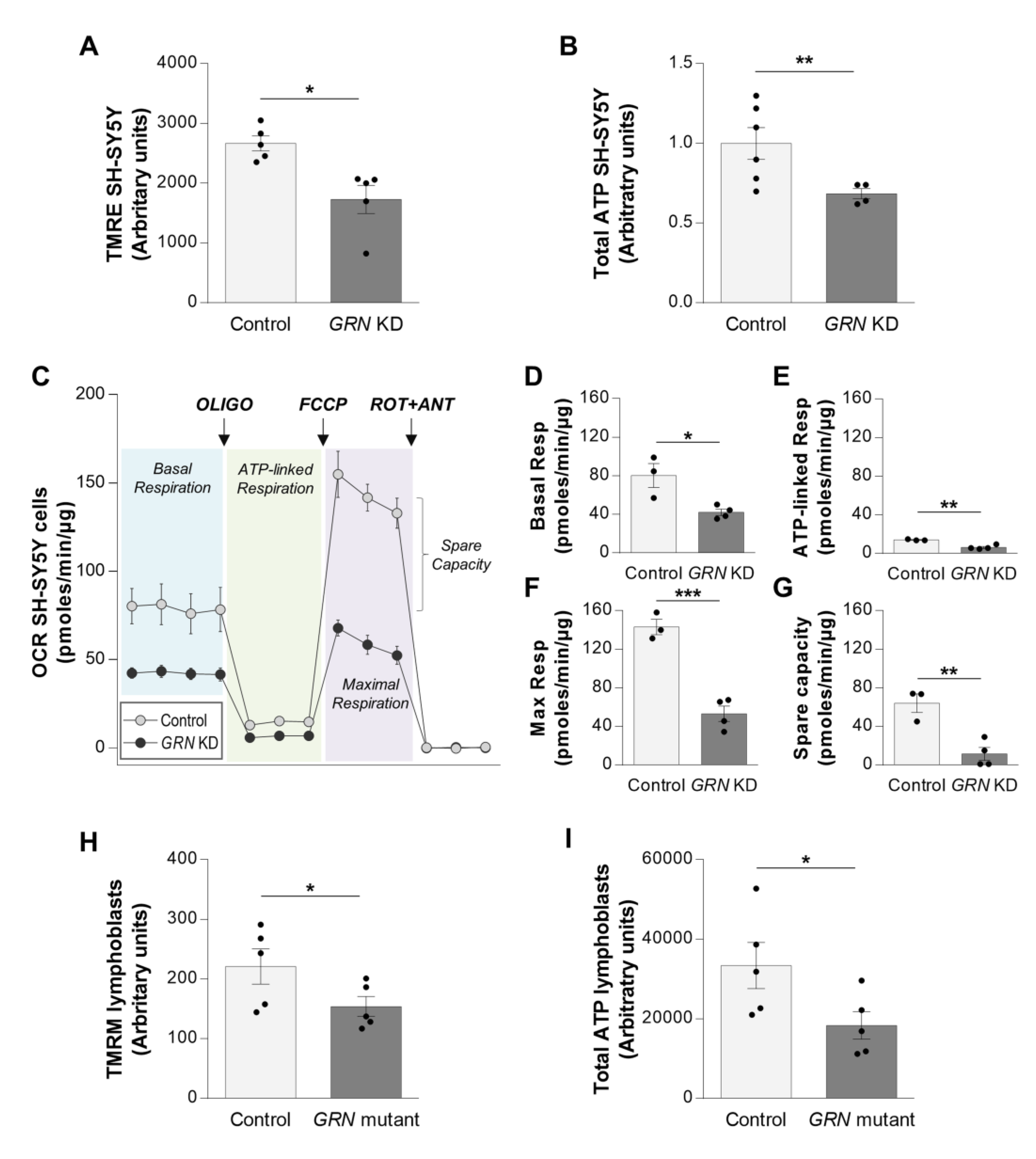 Antioxidants 12 00581 g002 Antioxidants 12 00581 g002